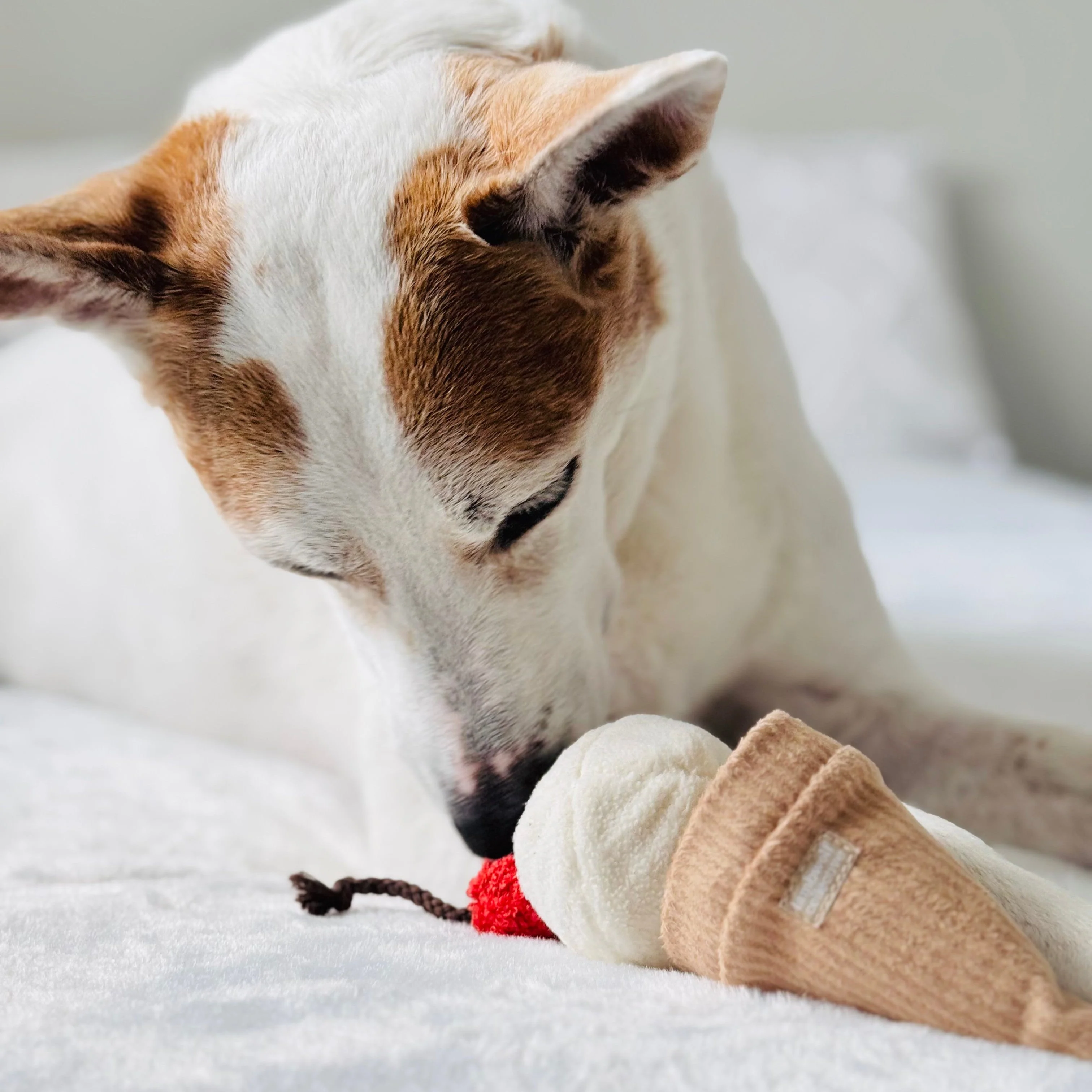 Ice Cream POP - Image 9