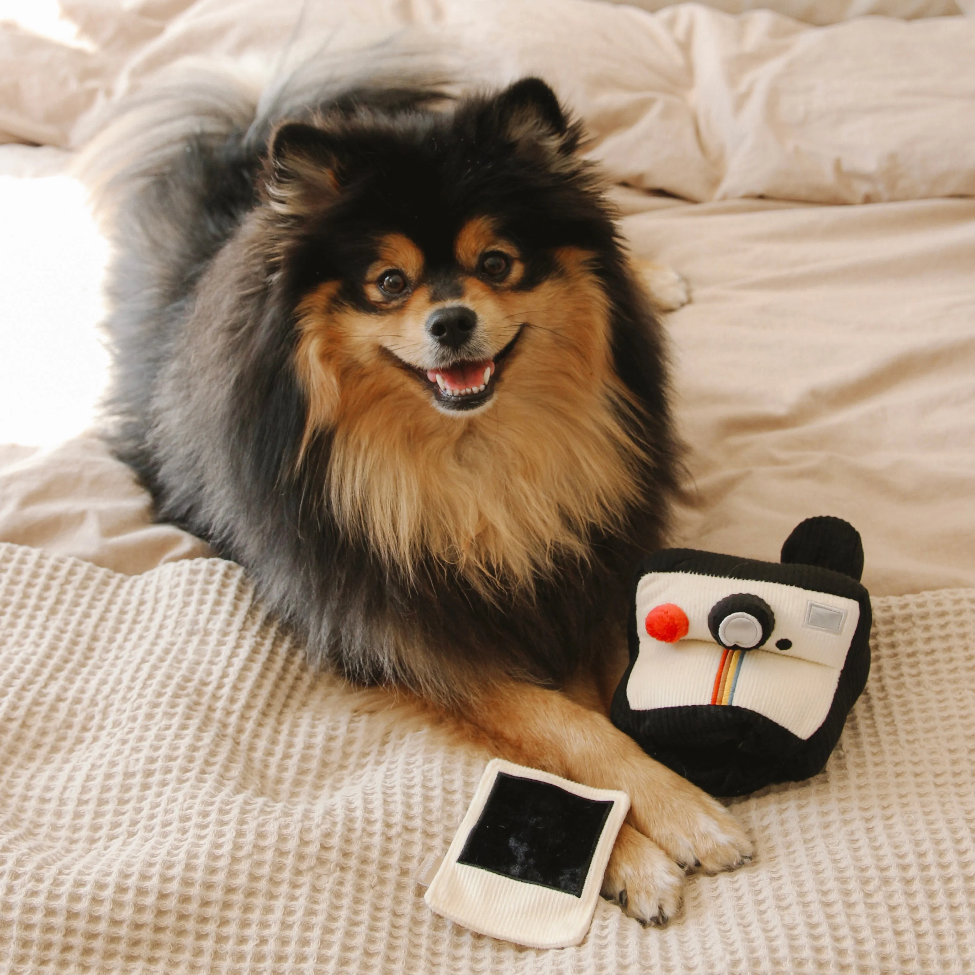 INSTANT CAMERA - Image 11