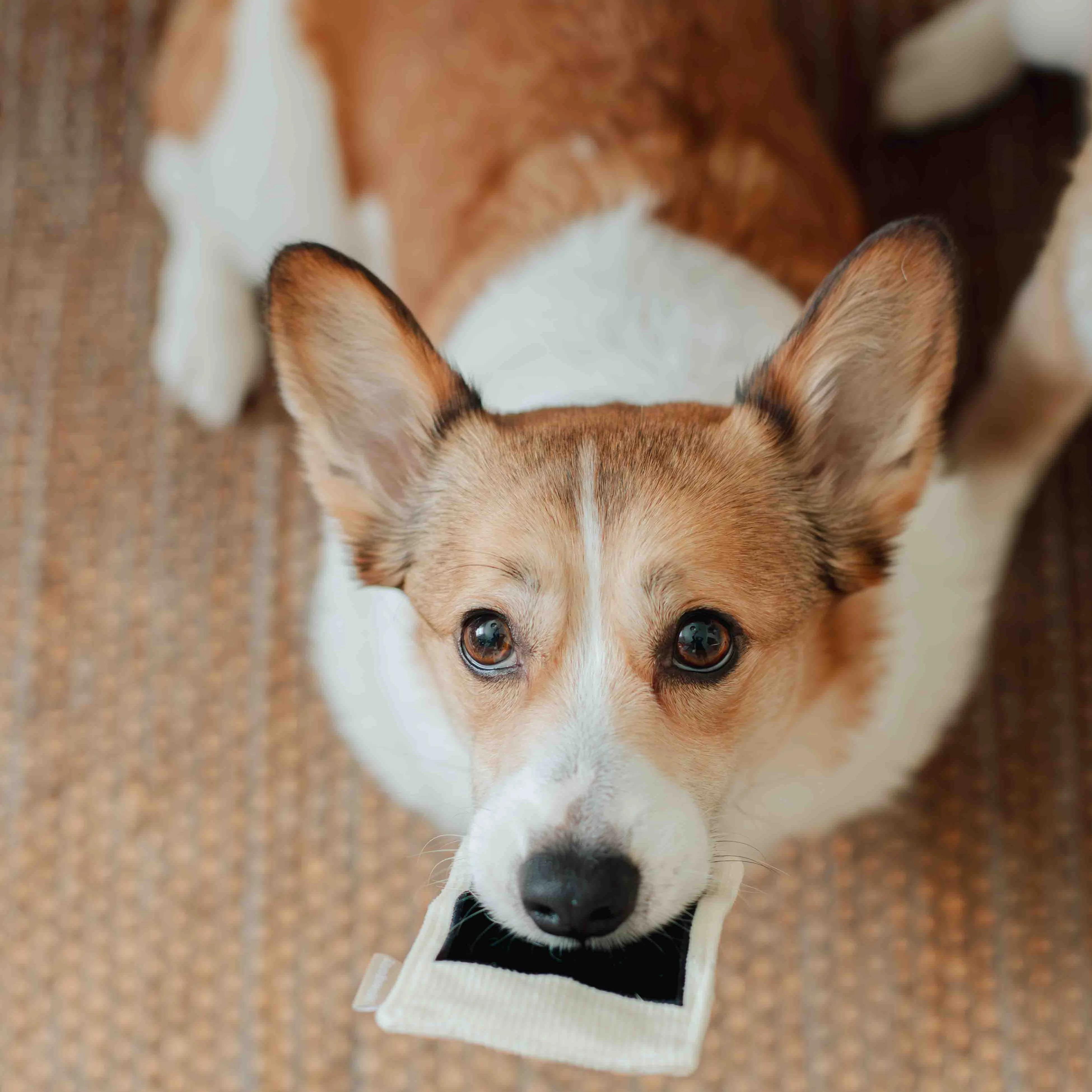 INSTANT CAMERA - Image 15