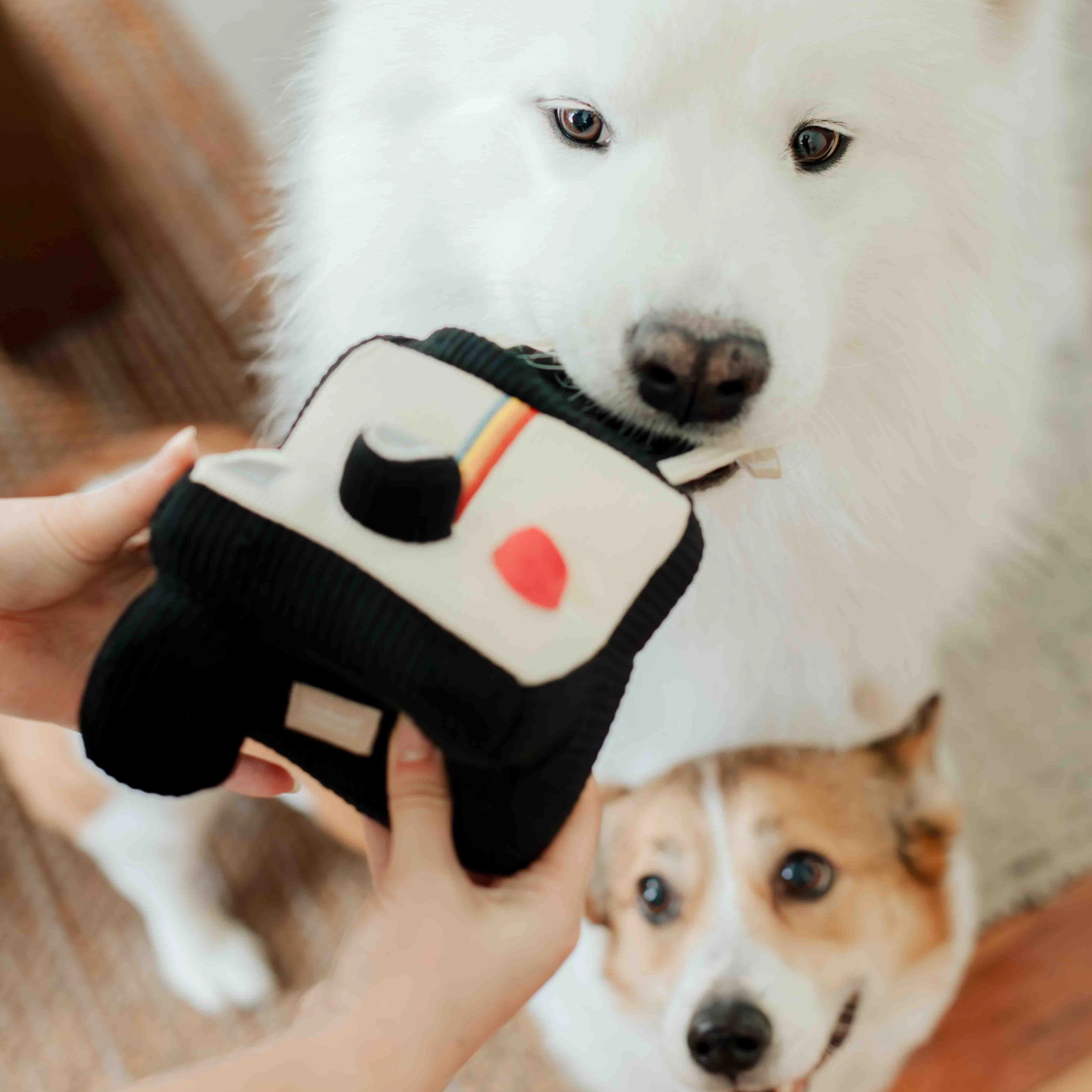 INSTANT CAMERA - Image 16