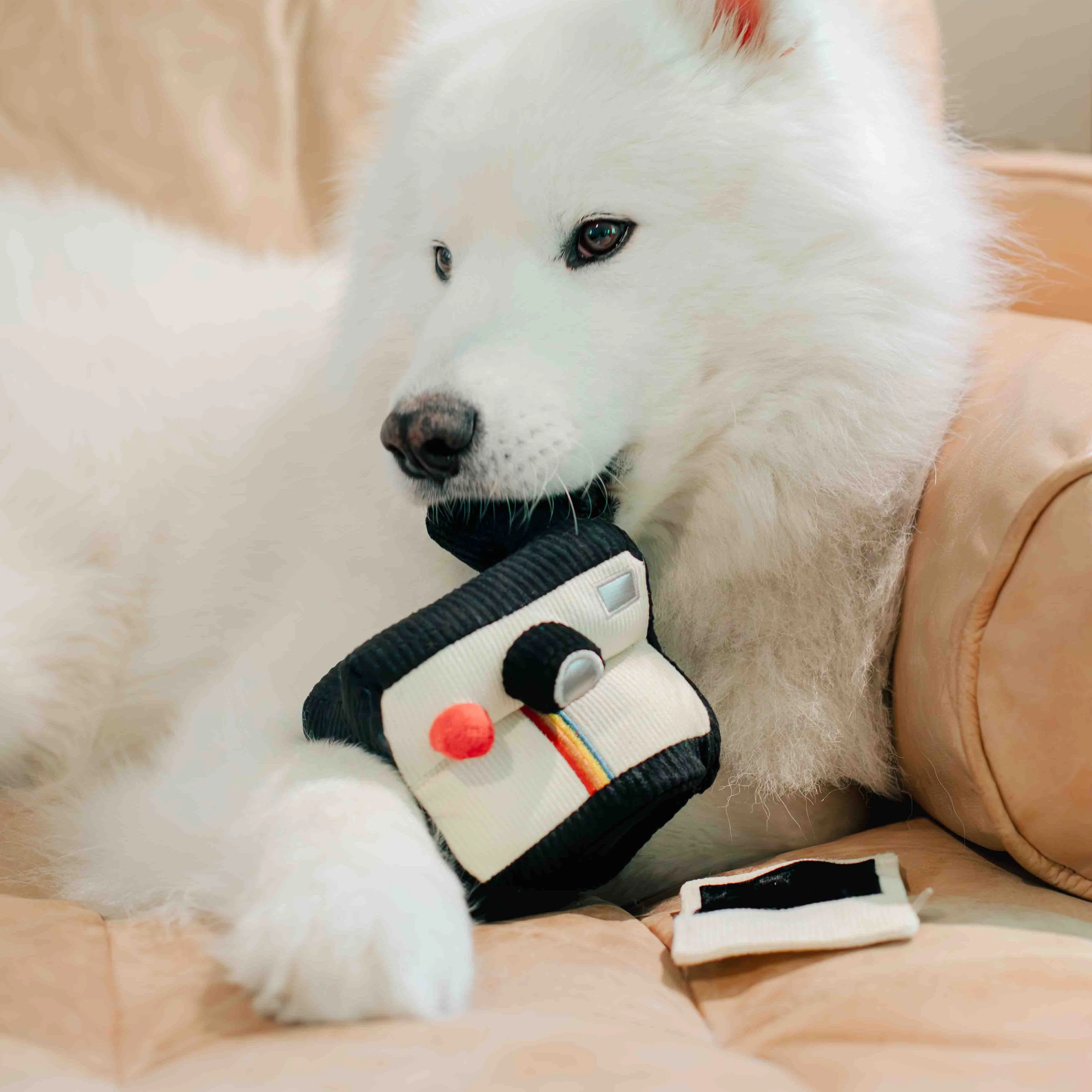 INSTANT CAMERA - Image 18