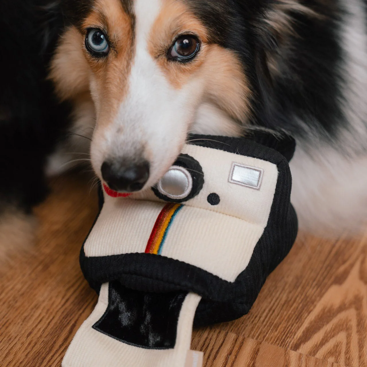 INSTANT CAMERA - Image 22