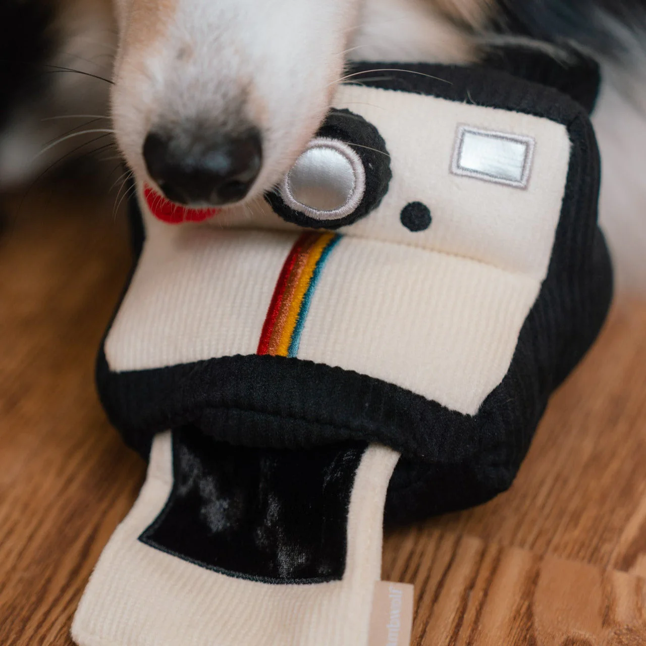 INSTANT CAMERA - Image 23