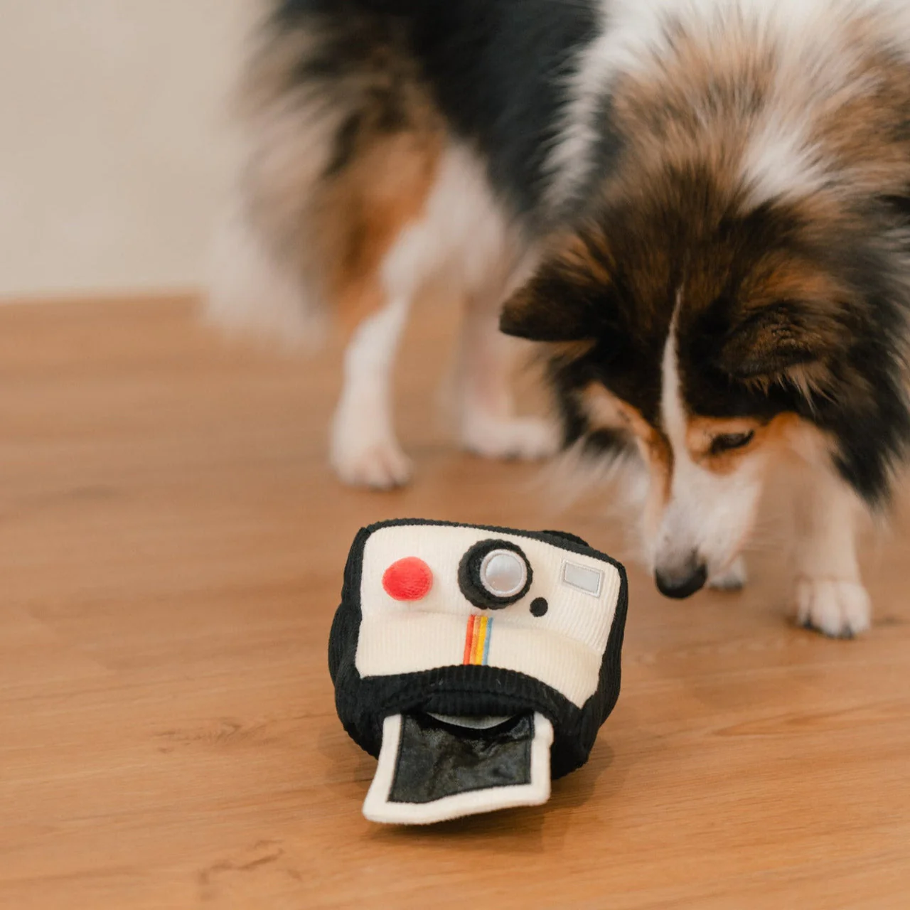 INSTANT CAMERA - Image 25