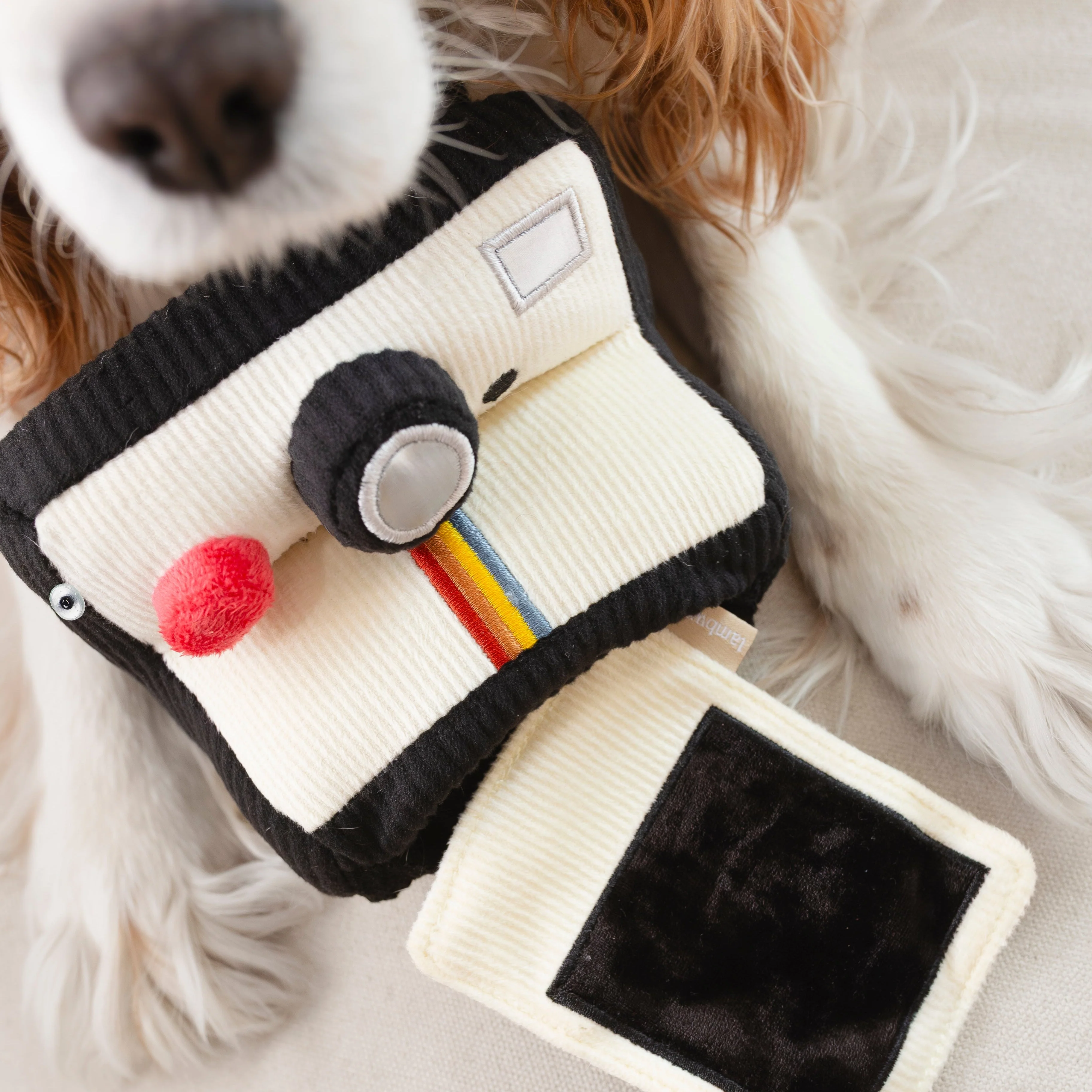 INSTANT CAMERA - Image 3
