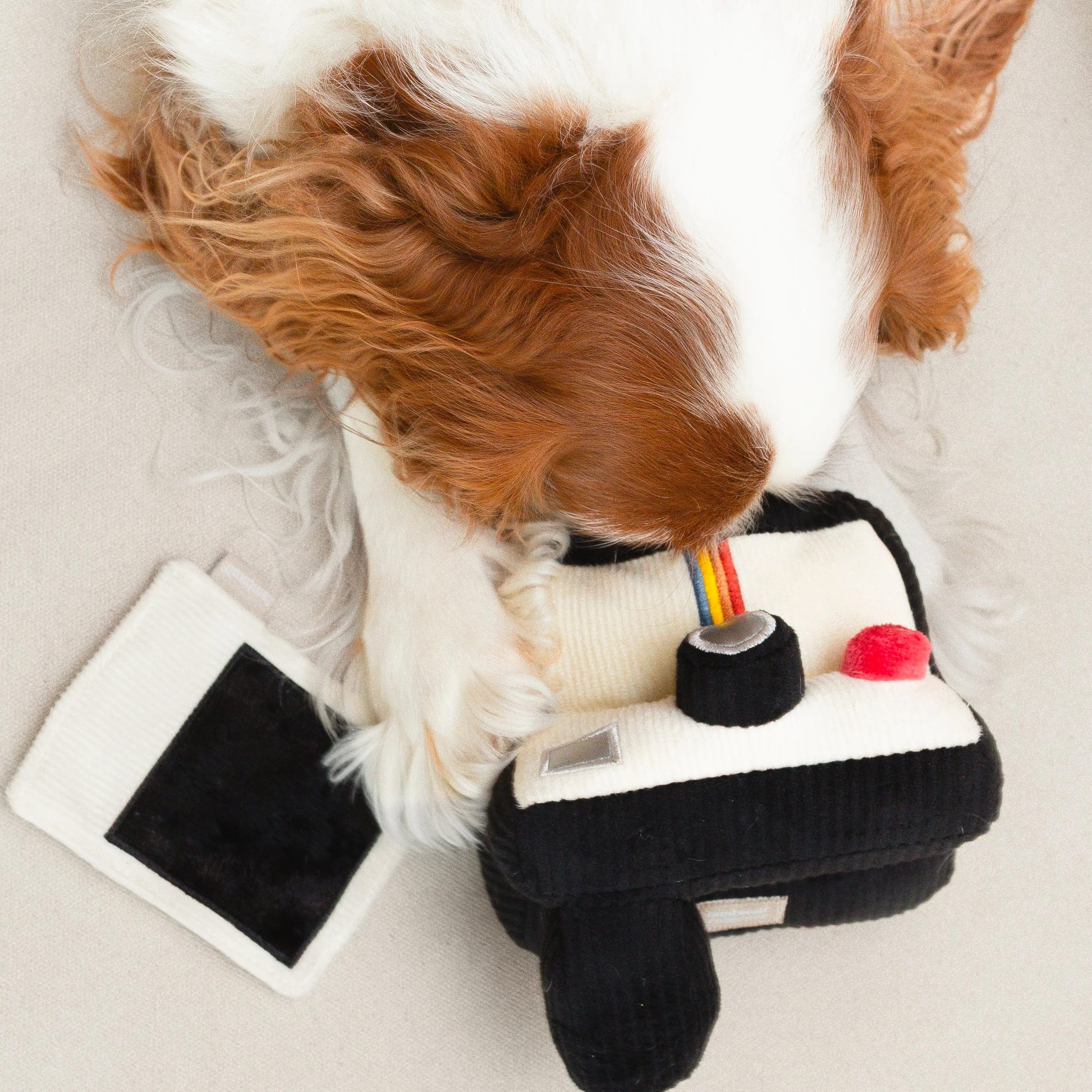 INSTANT CAMERA - Image 4