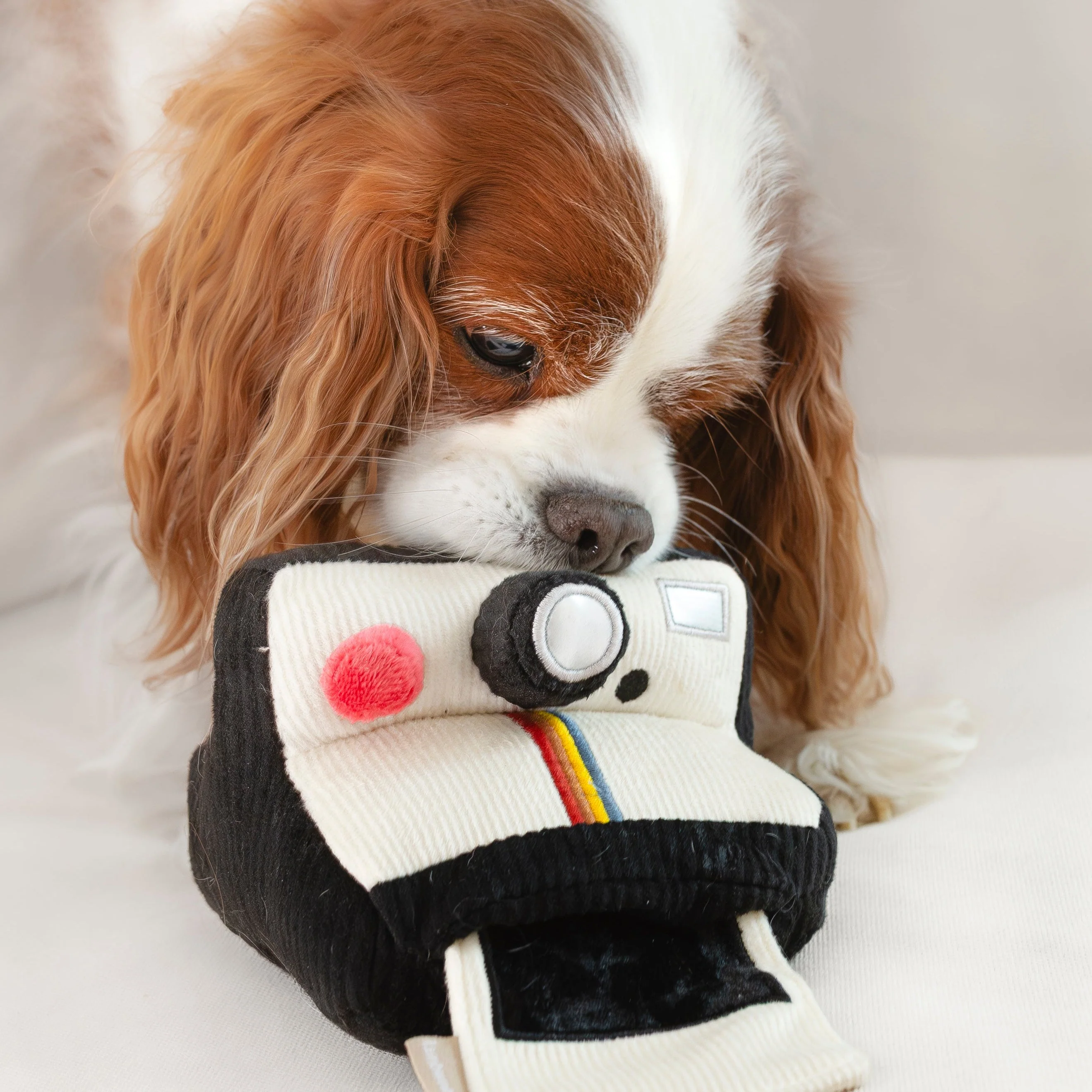 INSTANT CAMERA - Image 5
