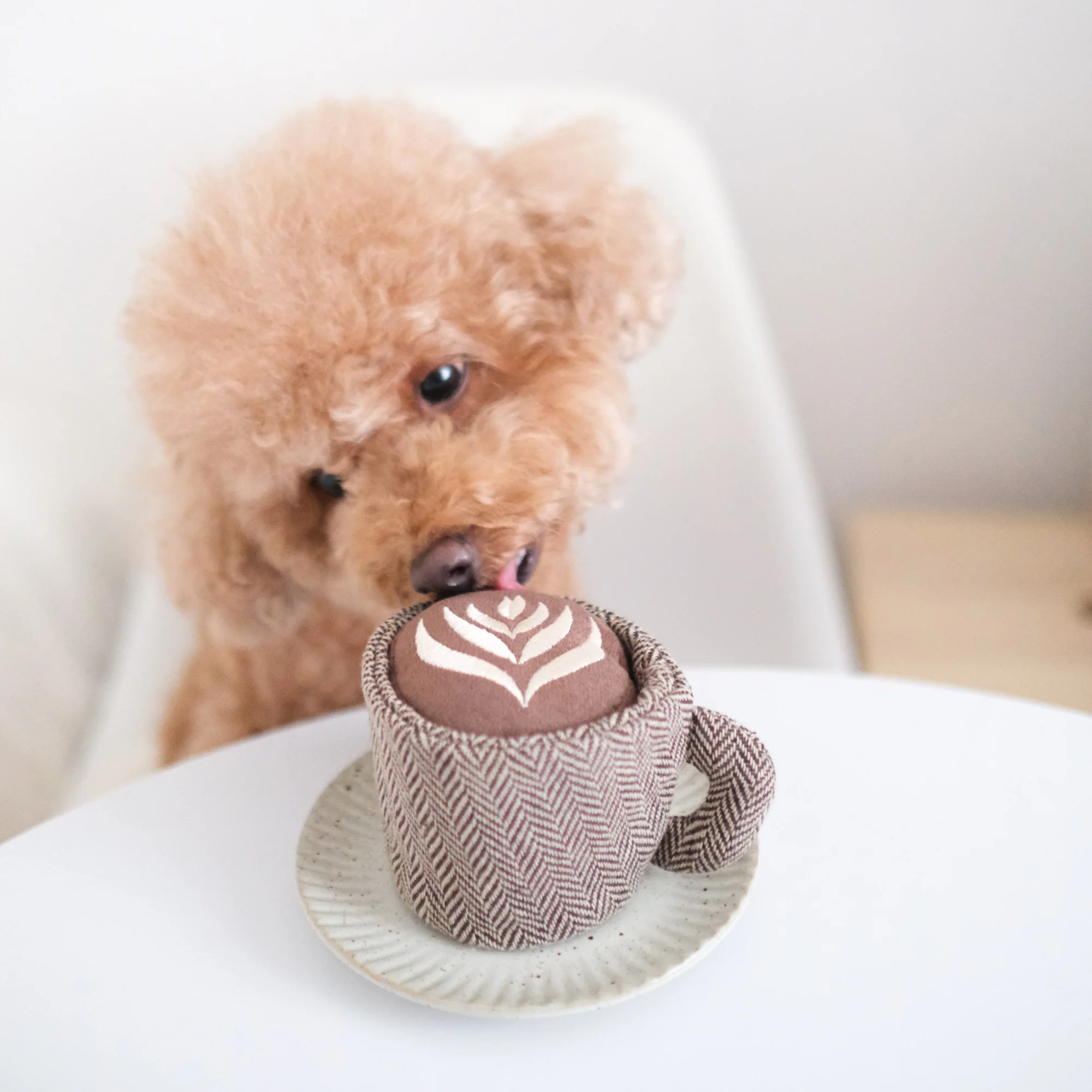LATTE POP - Image 5