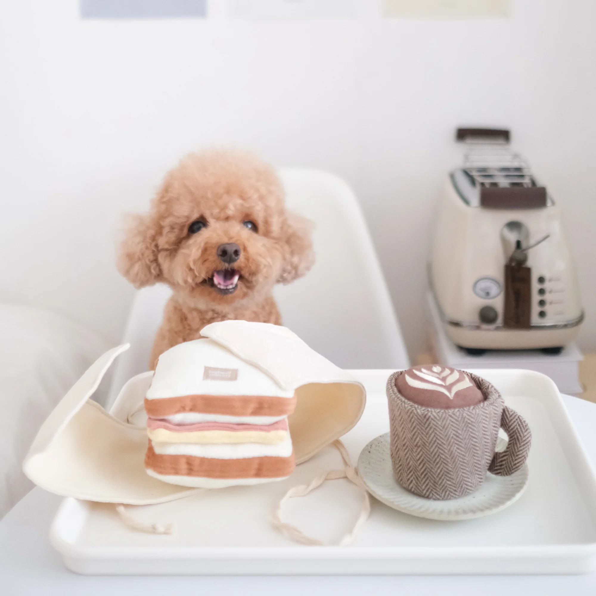 LATTE POP - Image 6