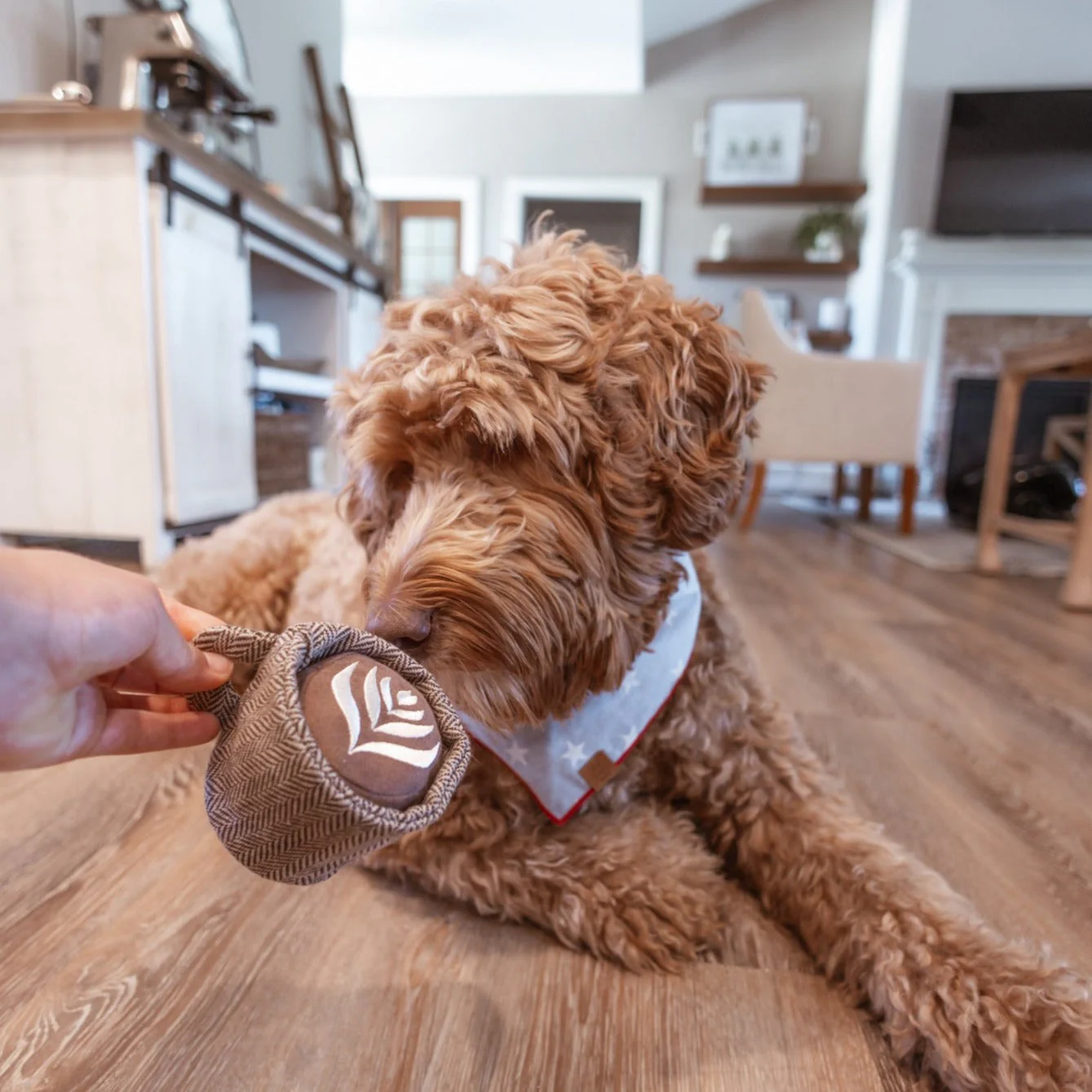 LATTE POP - Image 8