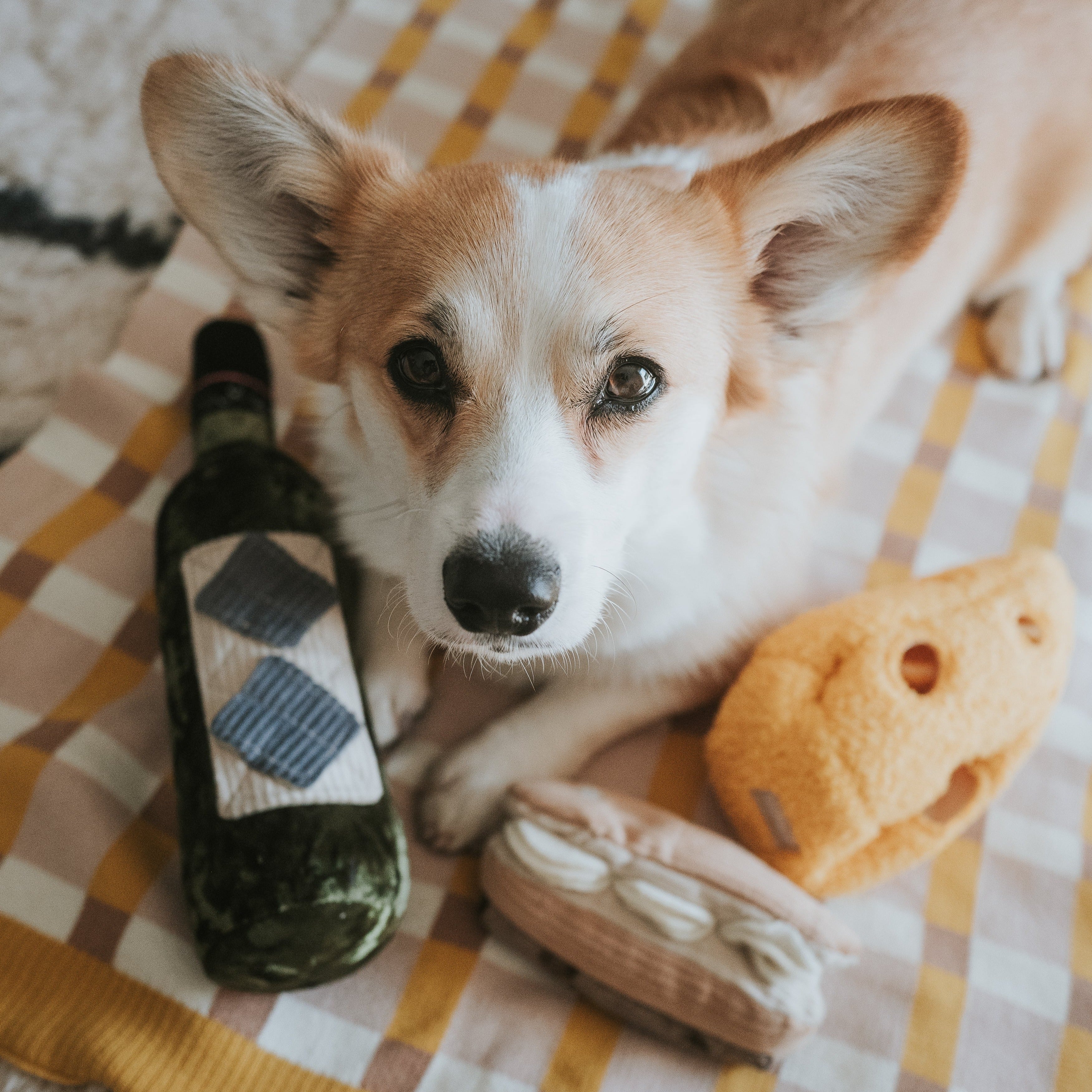 MERLOT - Image 14