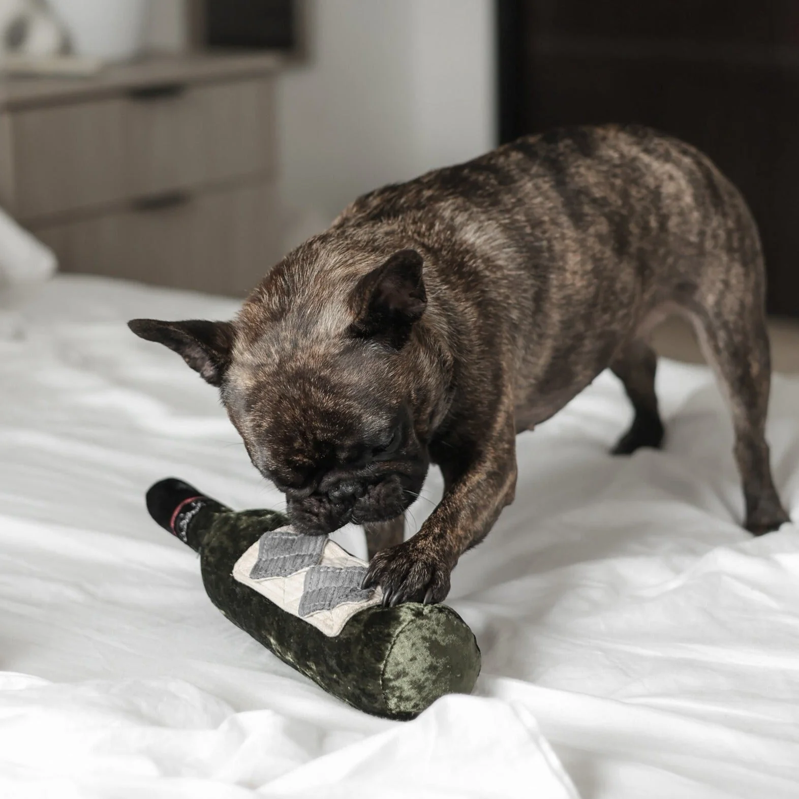 MERLOT - Image 15