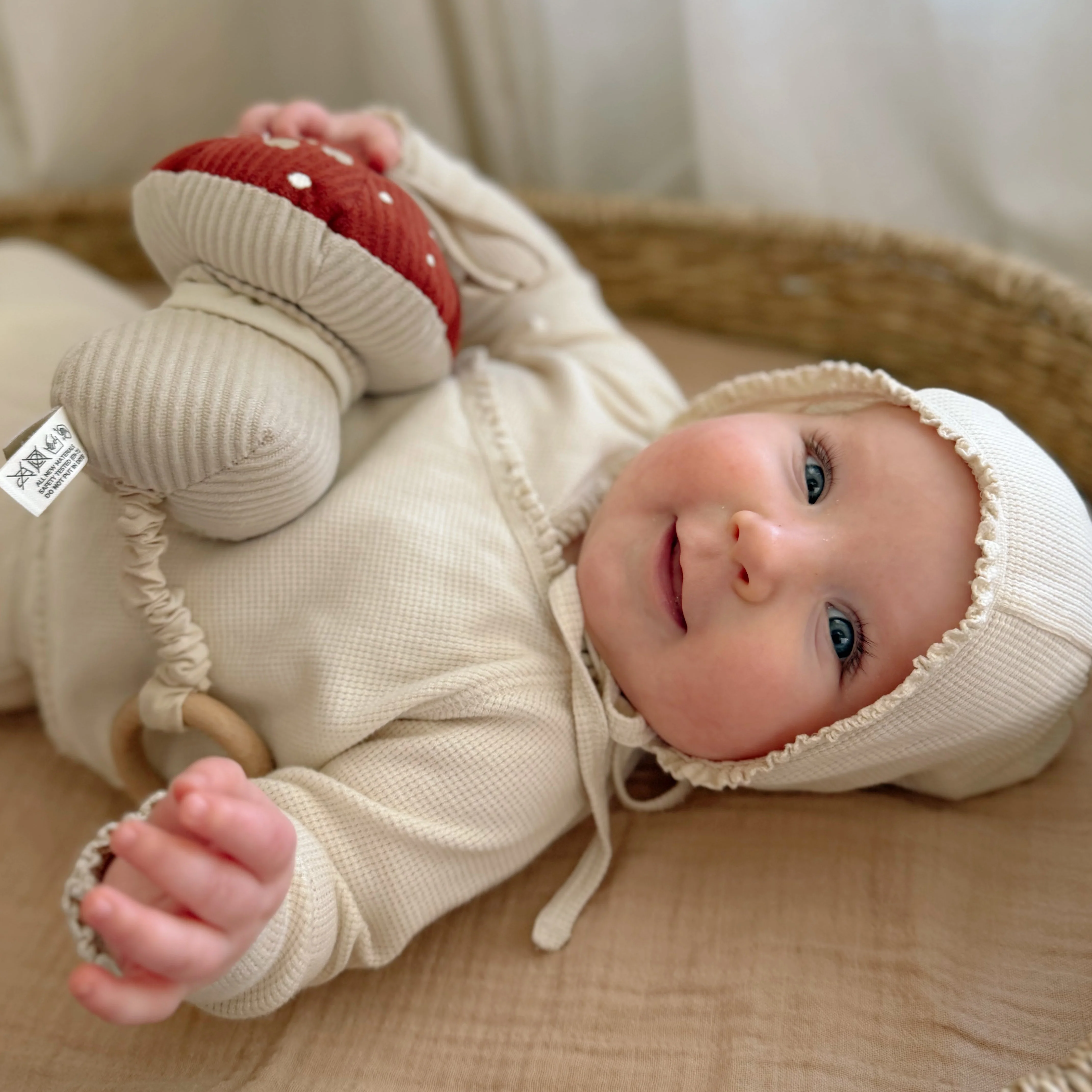 Melody Mushroom - Image 3