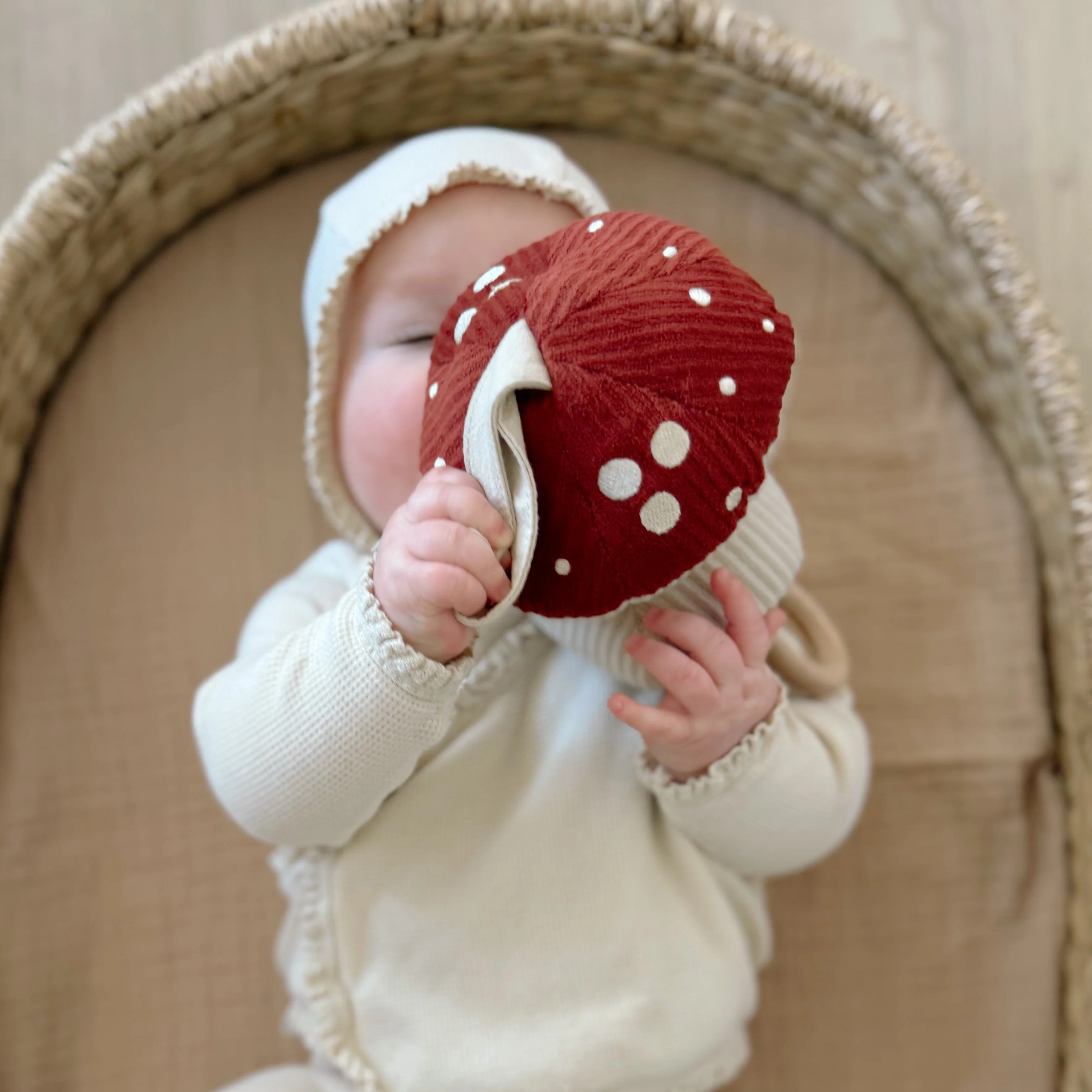 Melody Mushroom - Image 4