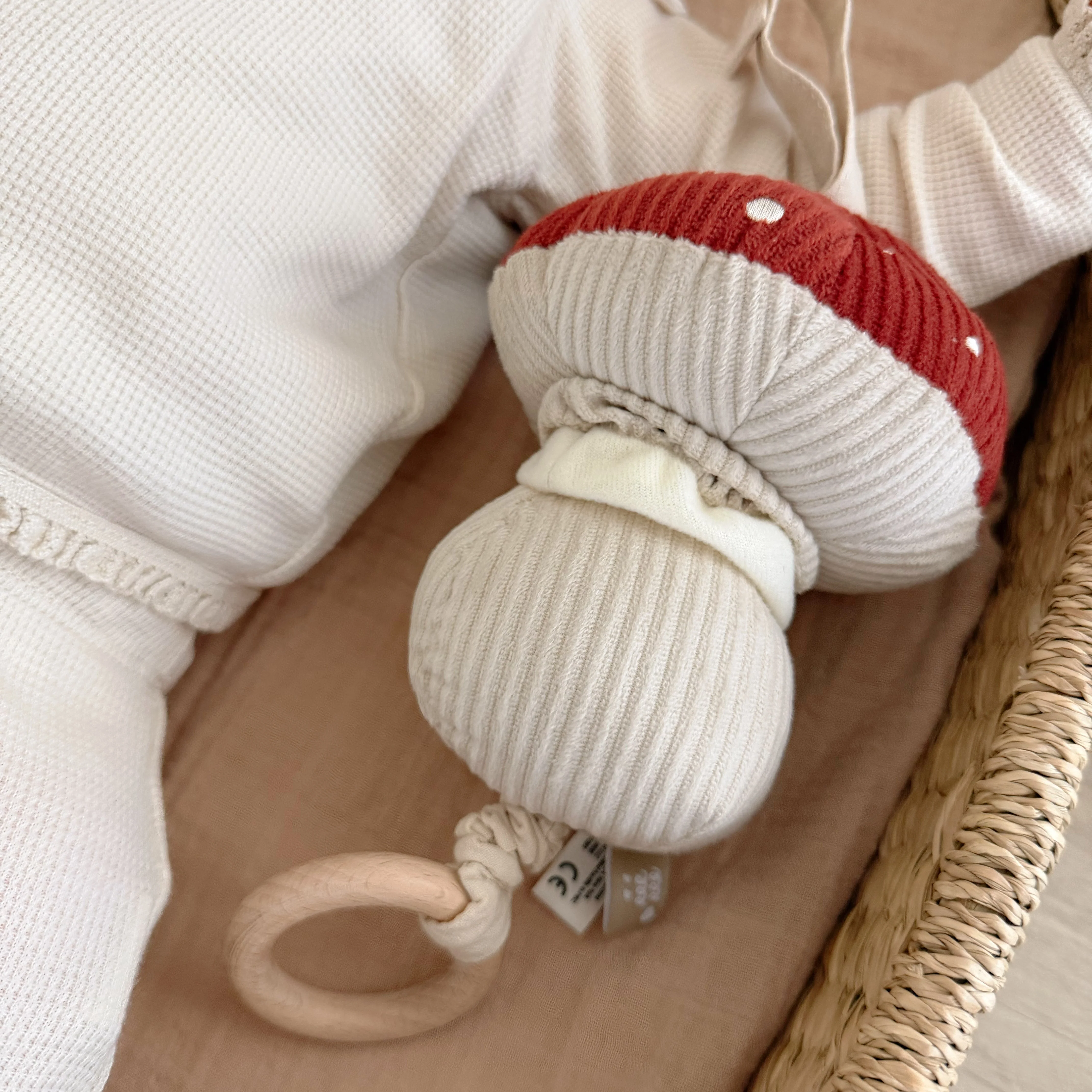 Melody Mushroom - Image 6