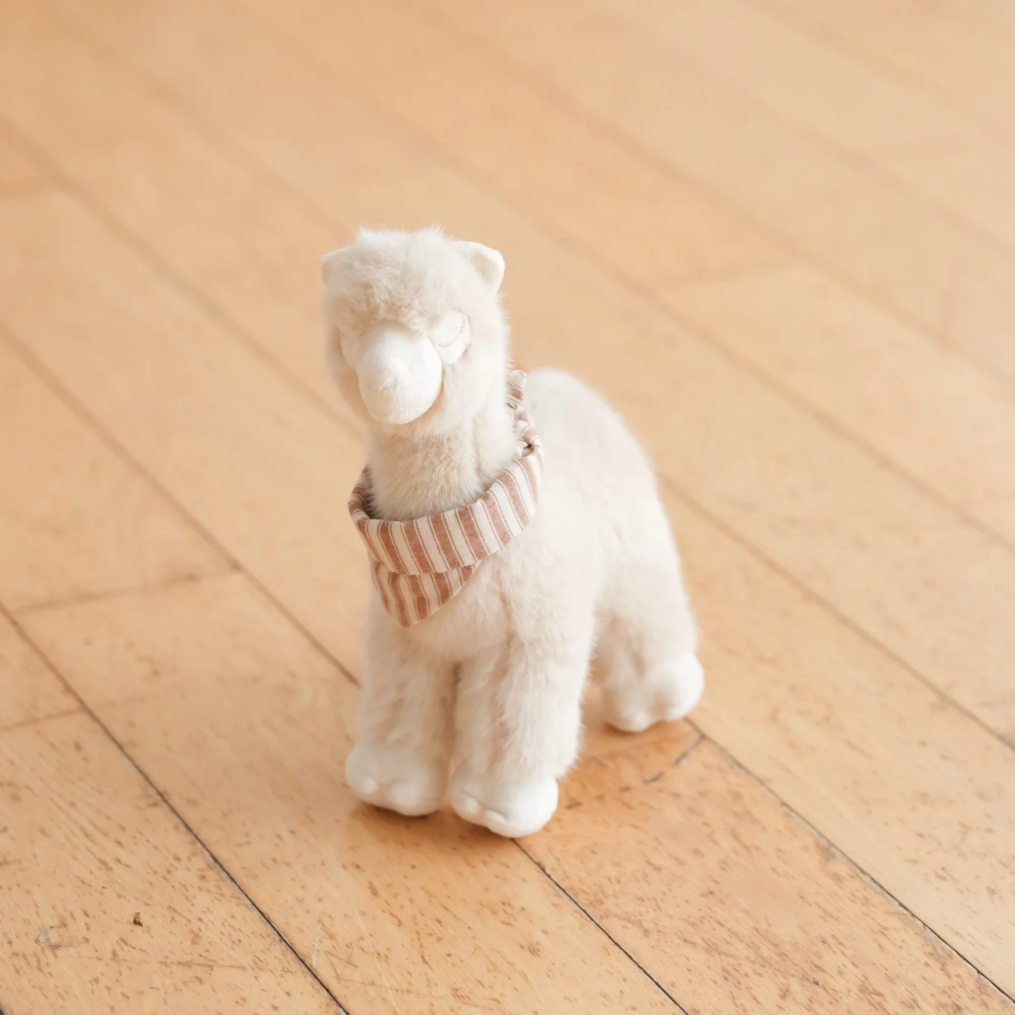 ALFIE - Image 4