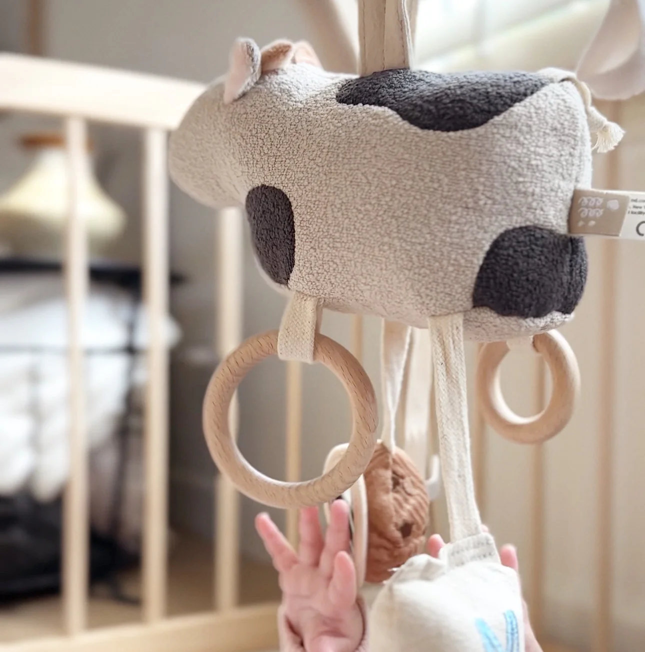 MOO MOO - Image 3