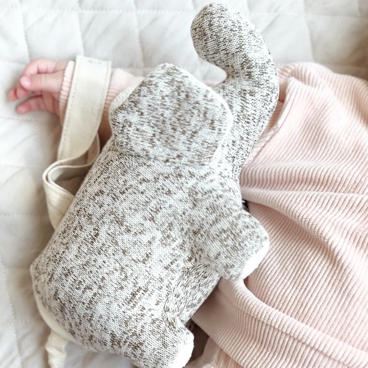 NOA - Image 10