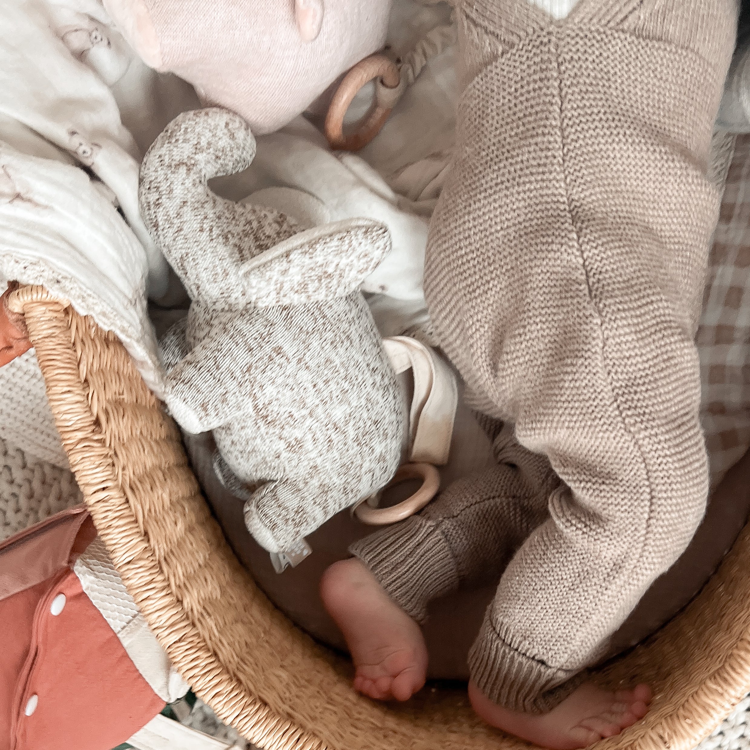NOA - Image 3