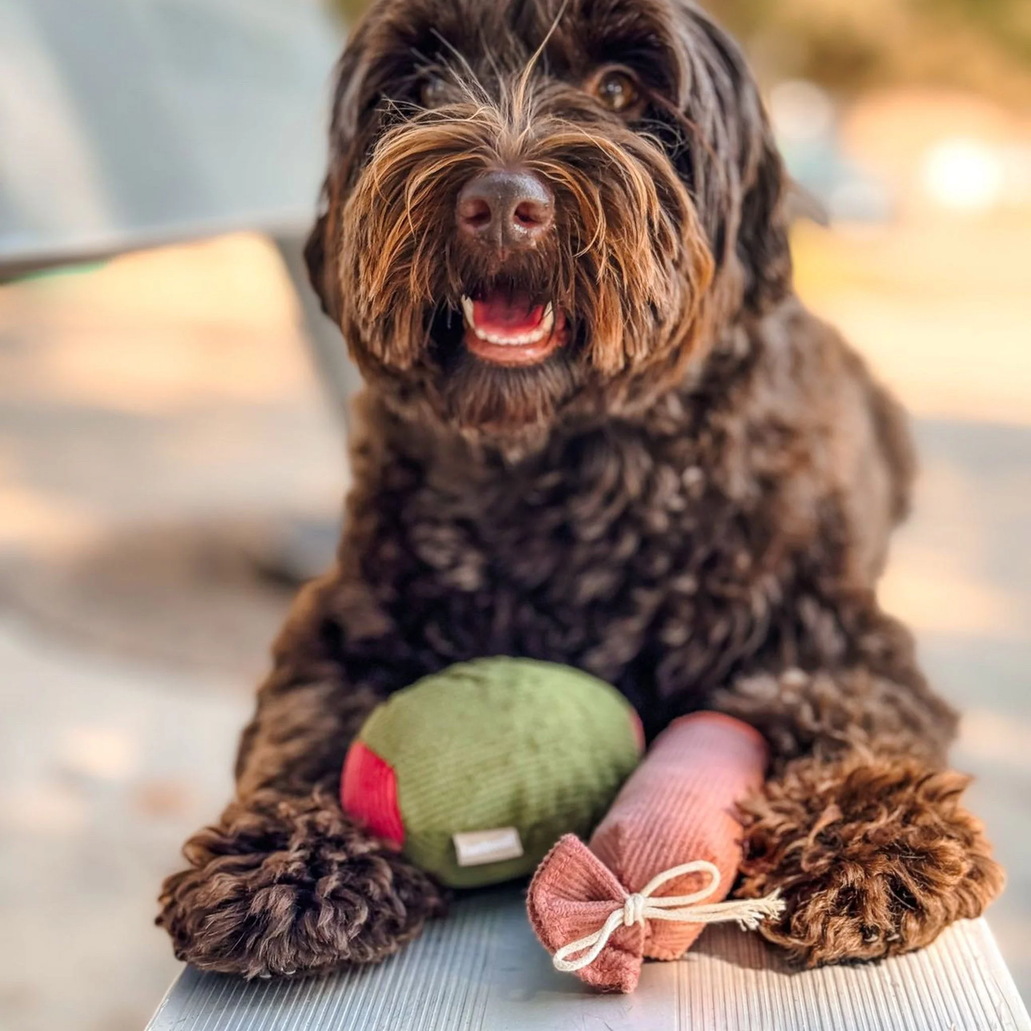 Olive + SALAMI - Image 3