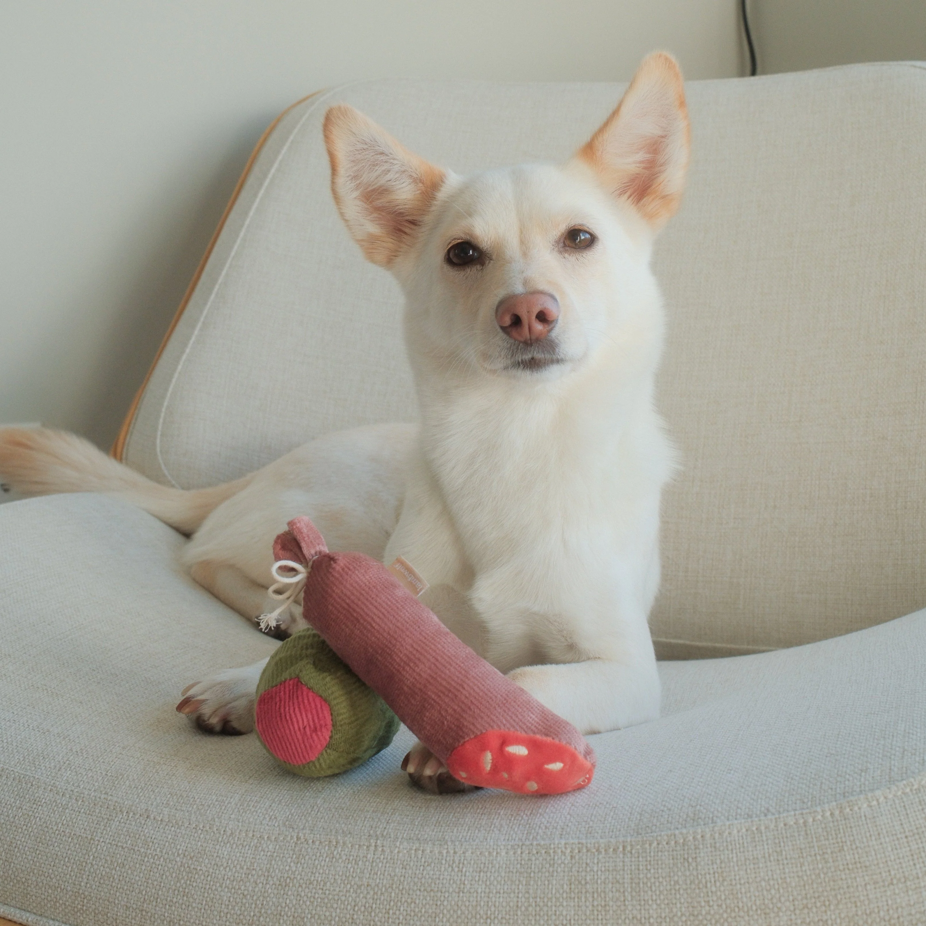 Olive + SALAMI - Image 4