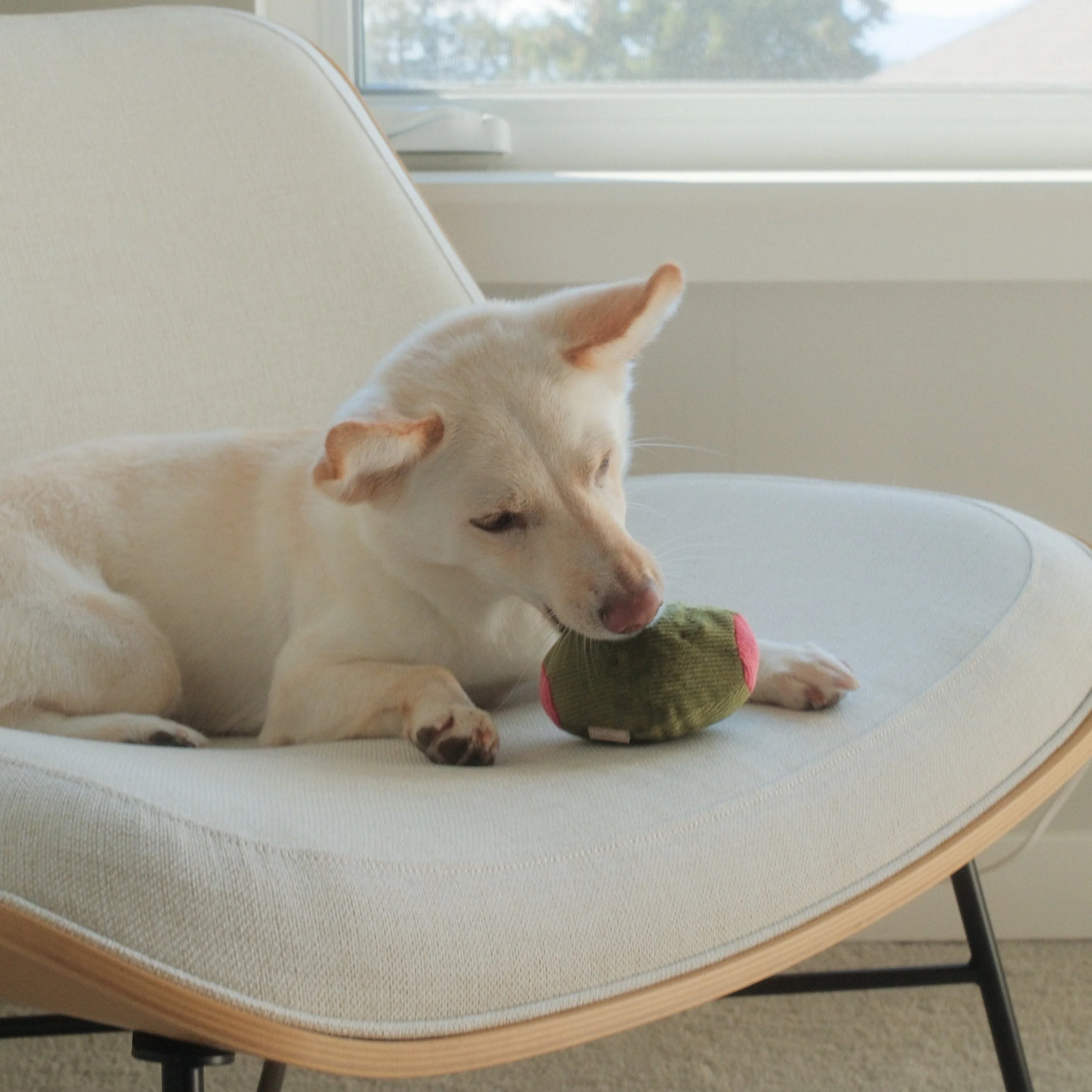 Olive + SALAMI - Image 5