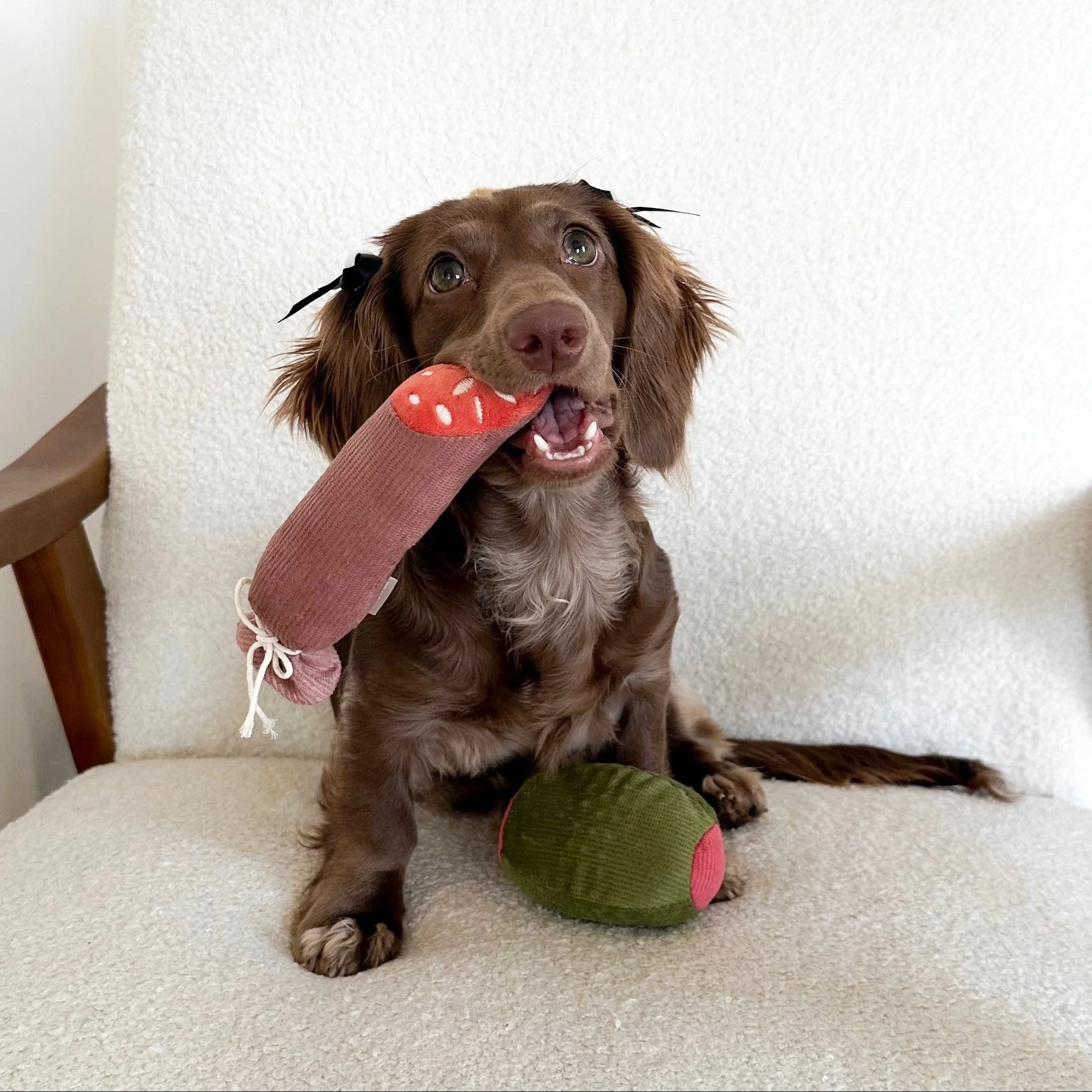 Olive + SALAMI - Image 9