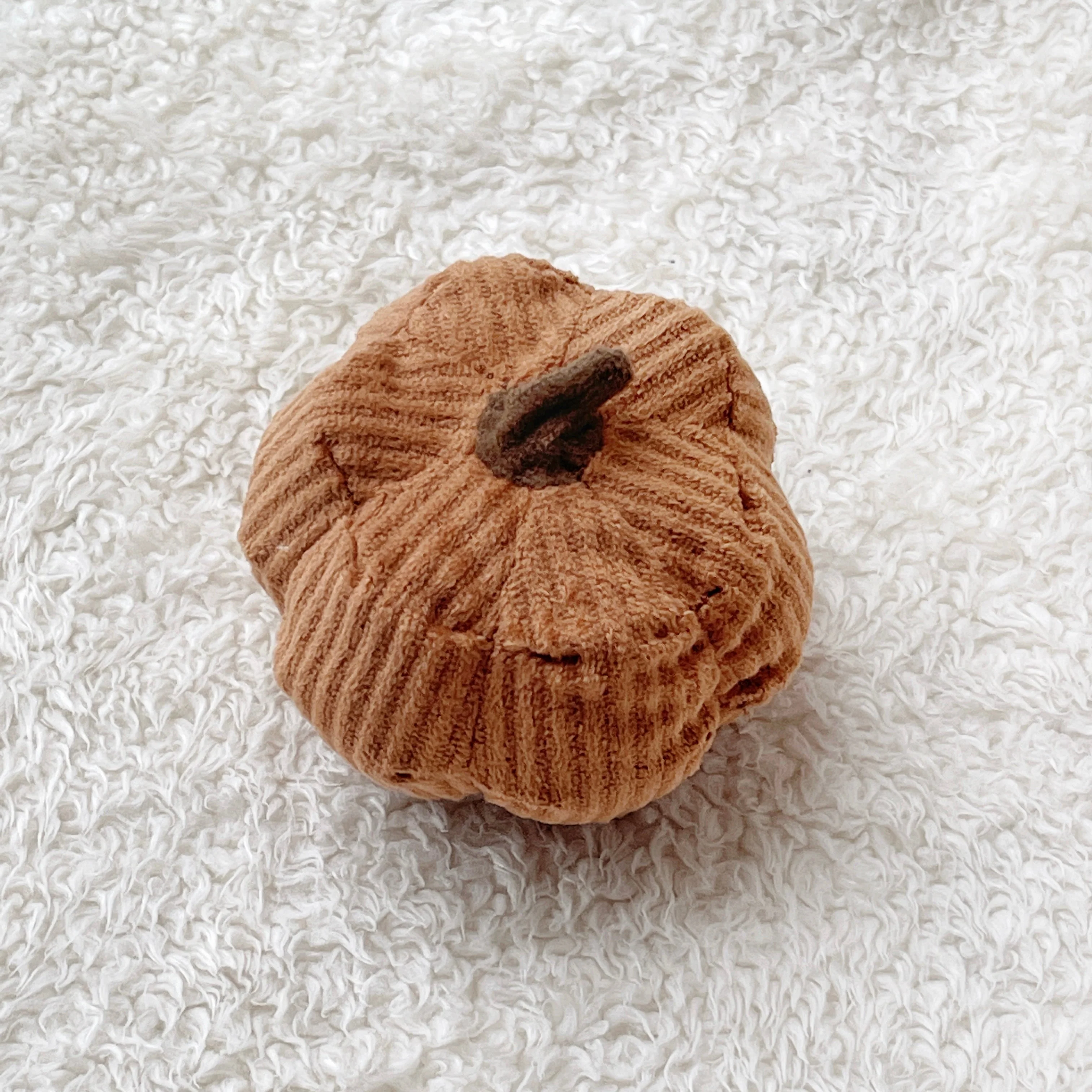 PUMPKIN - Image 3
