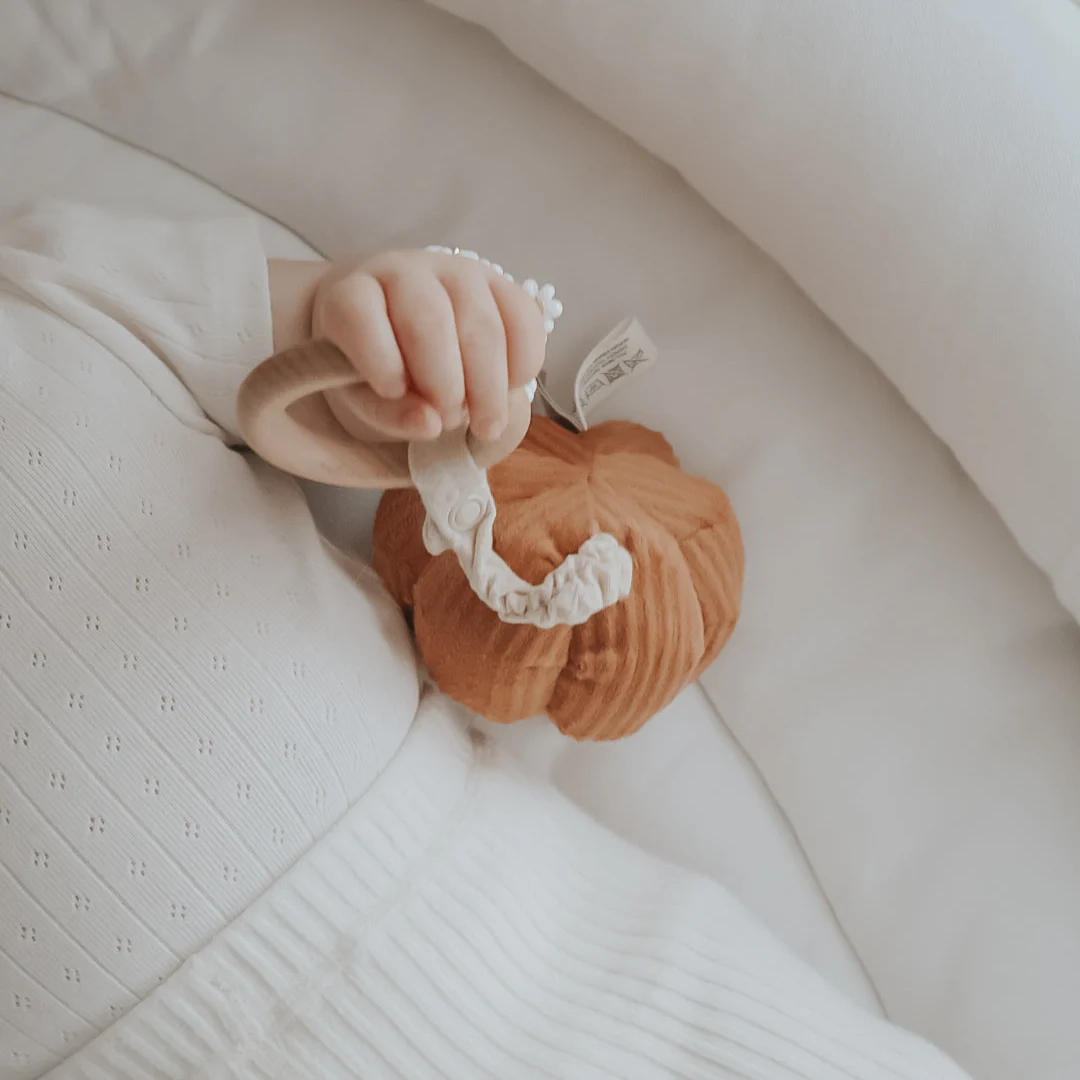 PUMPKIN - Image 7