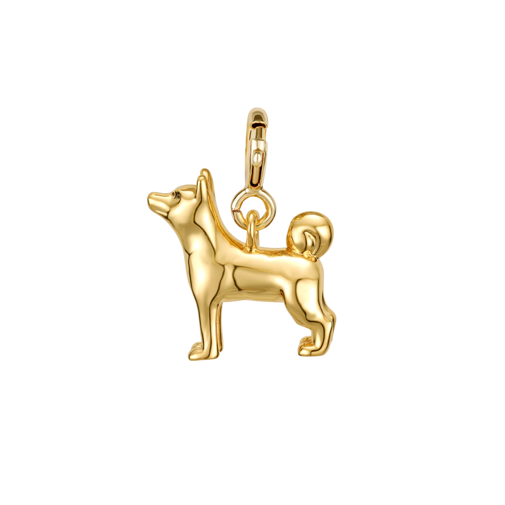 Shiba