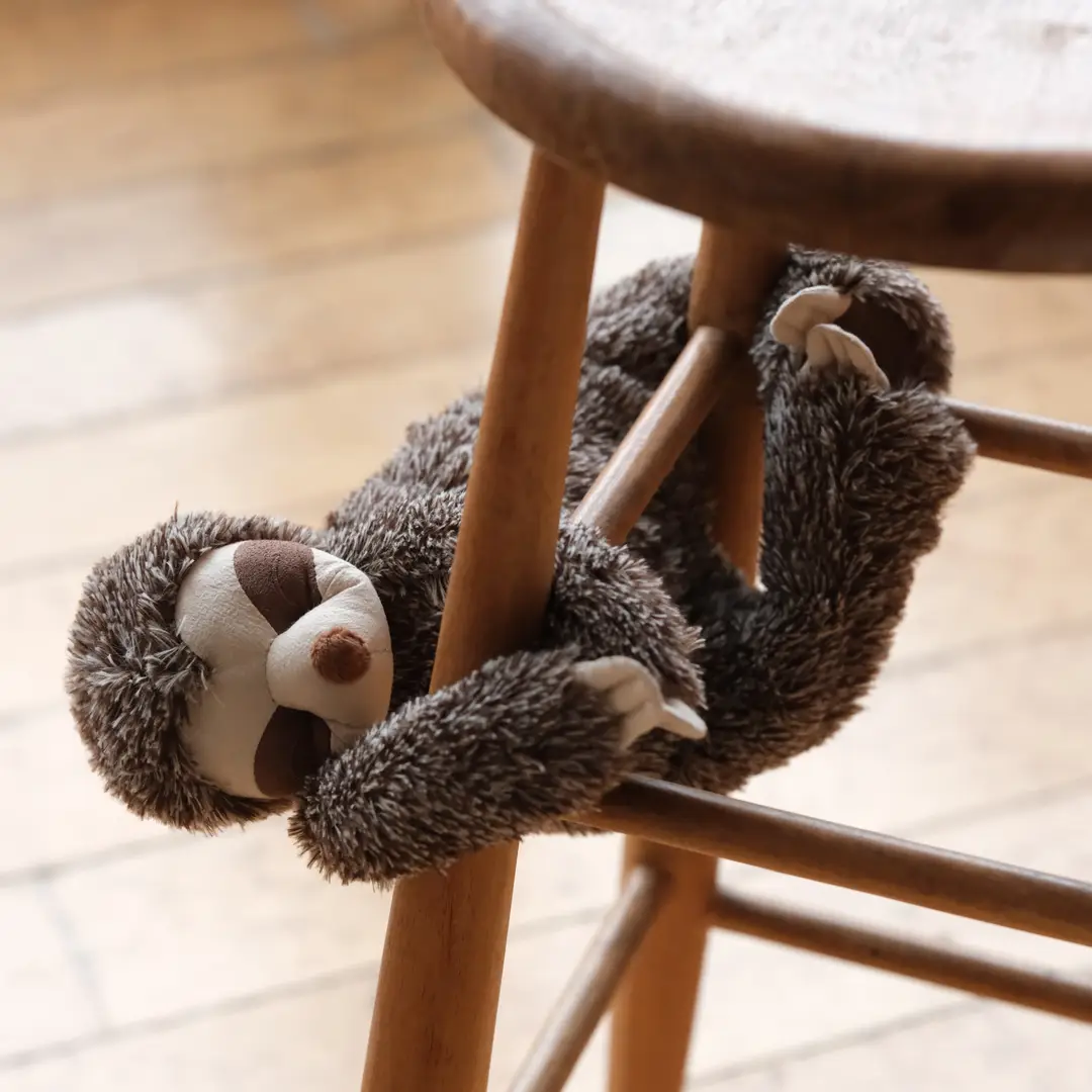 Sunny the sloth - Image 4
