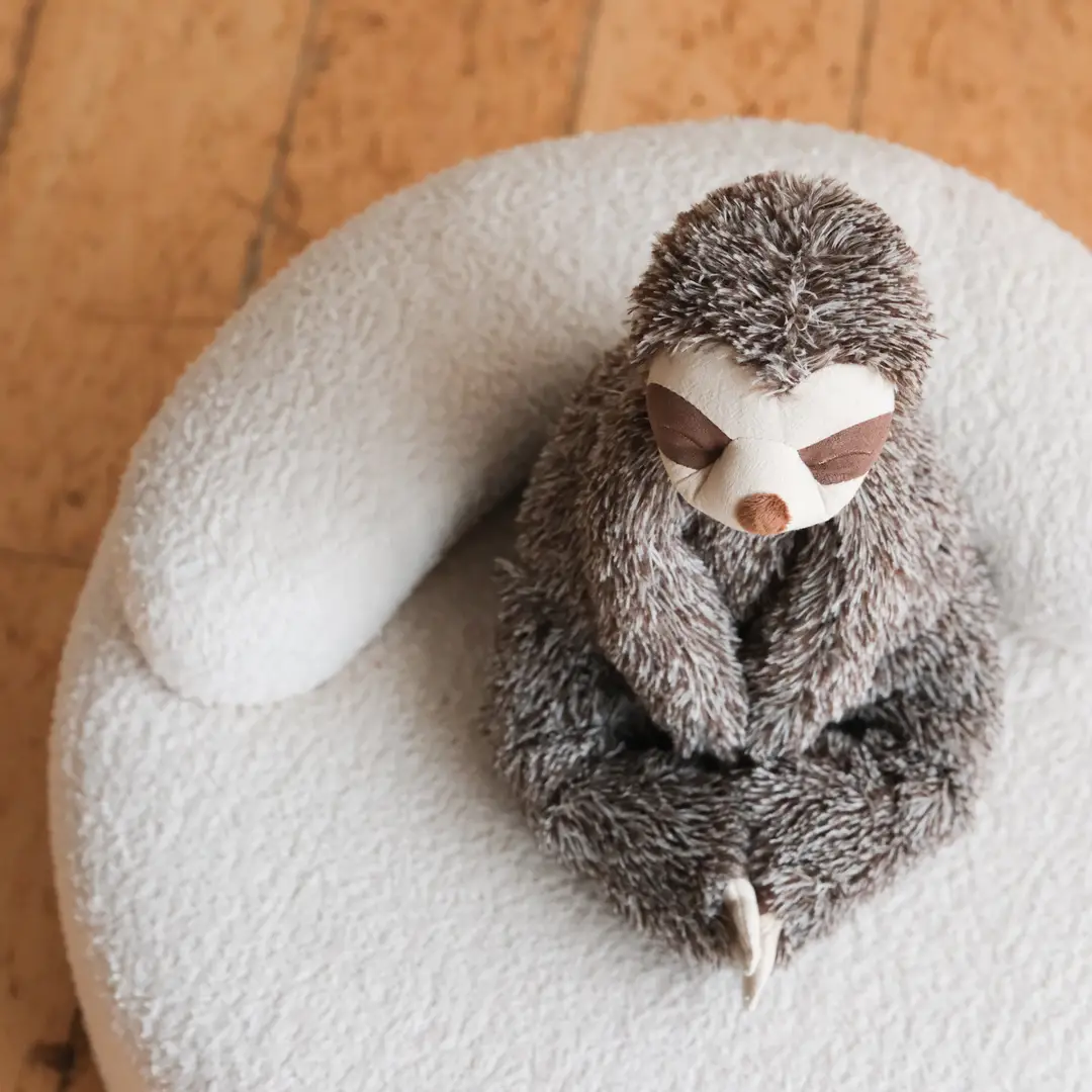 Sunny the sloth - Image 5