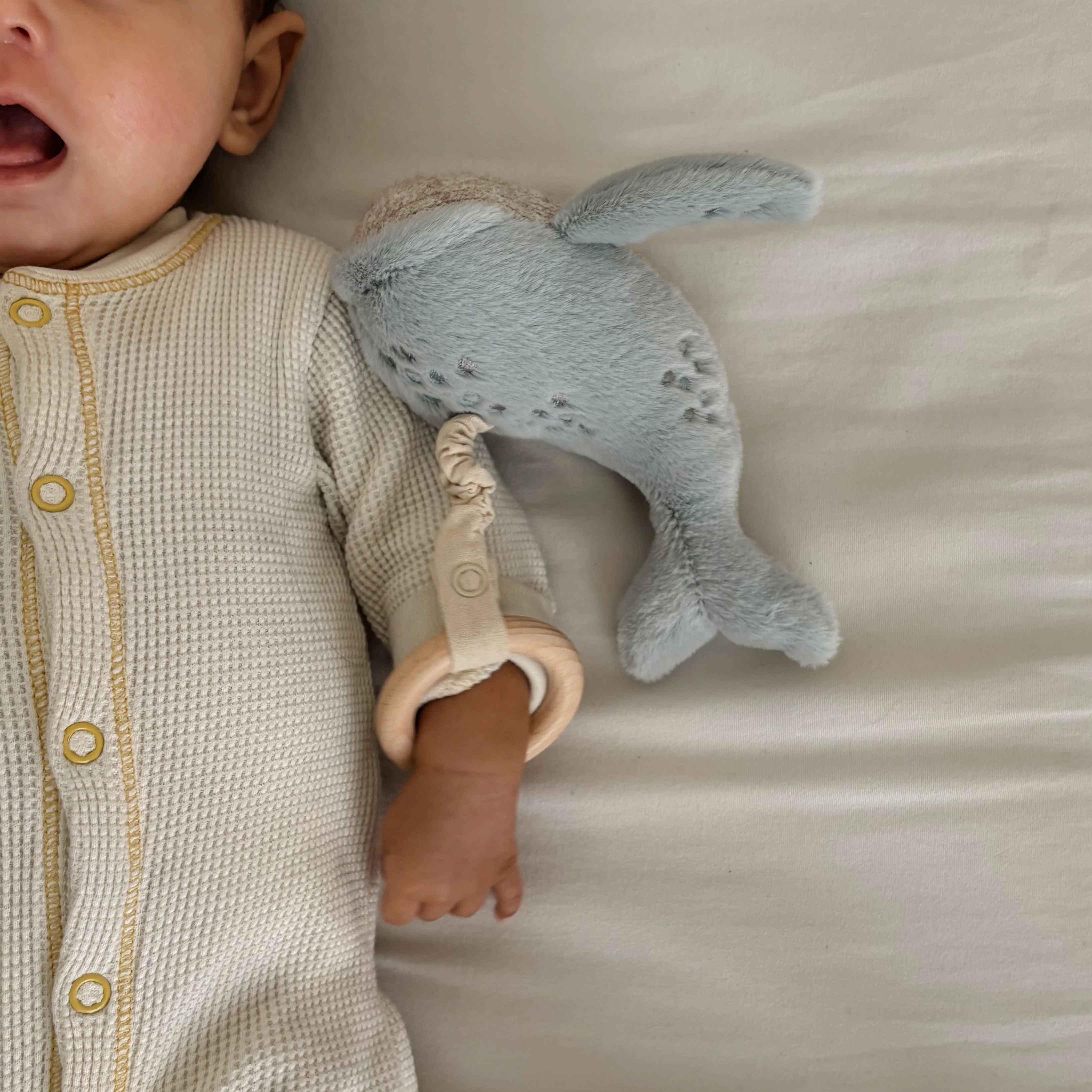 UNDER THE SEA rattle set - Image 4
