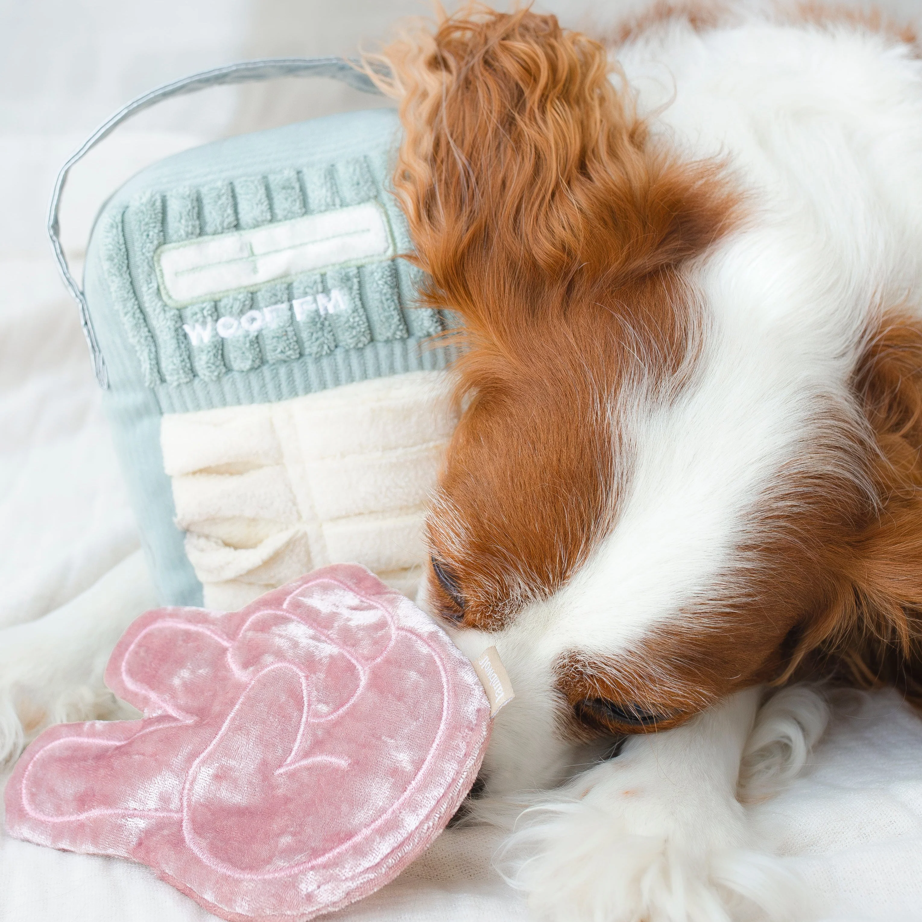 WOOF FM - Image 10