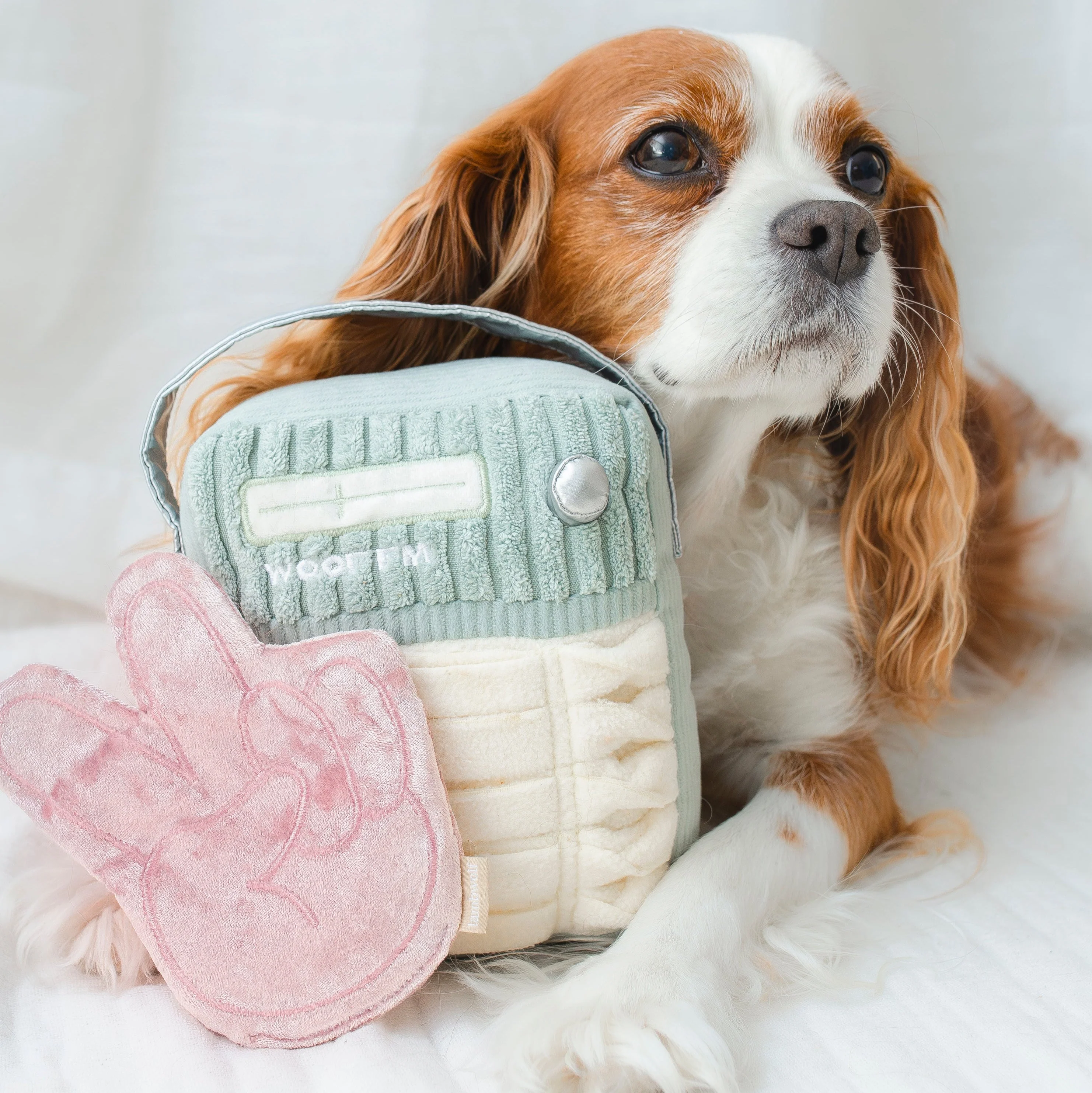 WOOF FM - Image 11