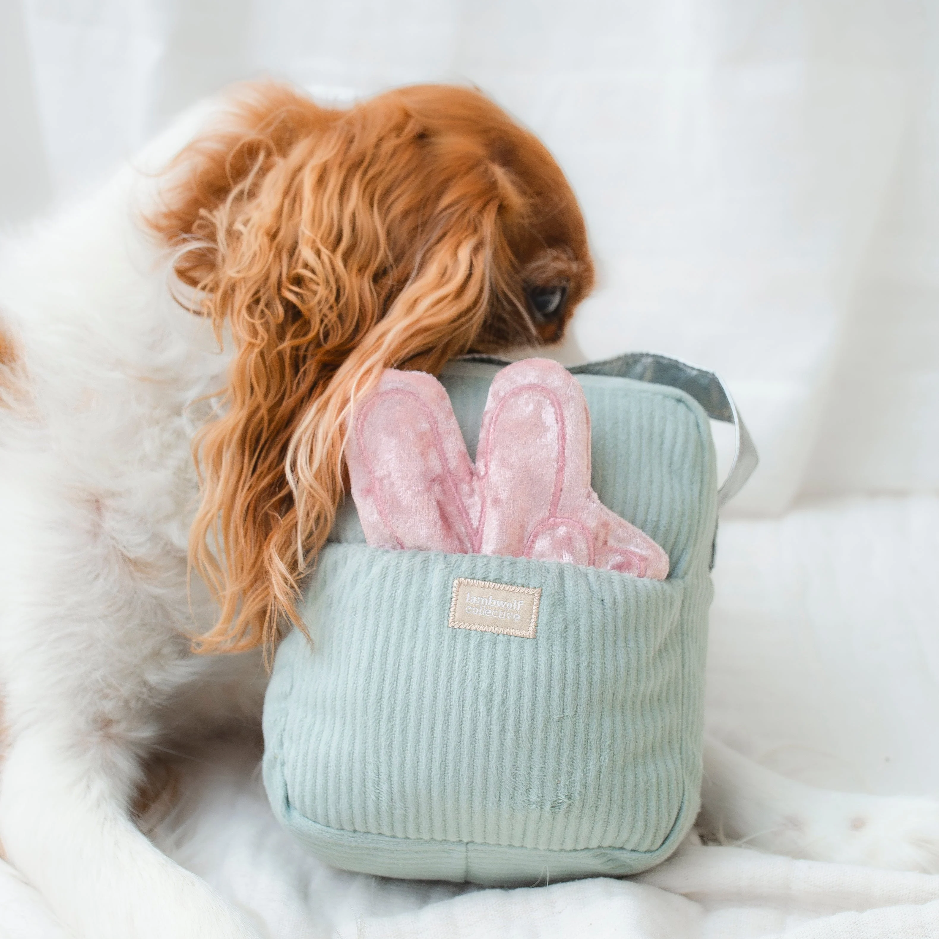 WOOF FM - Image 13