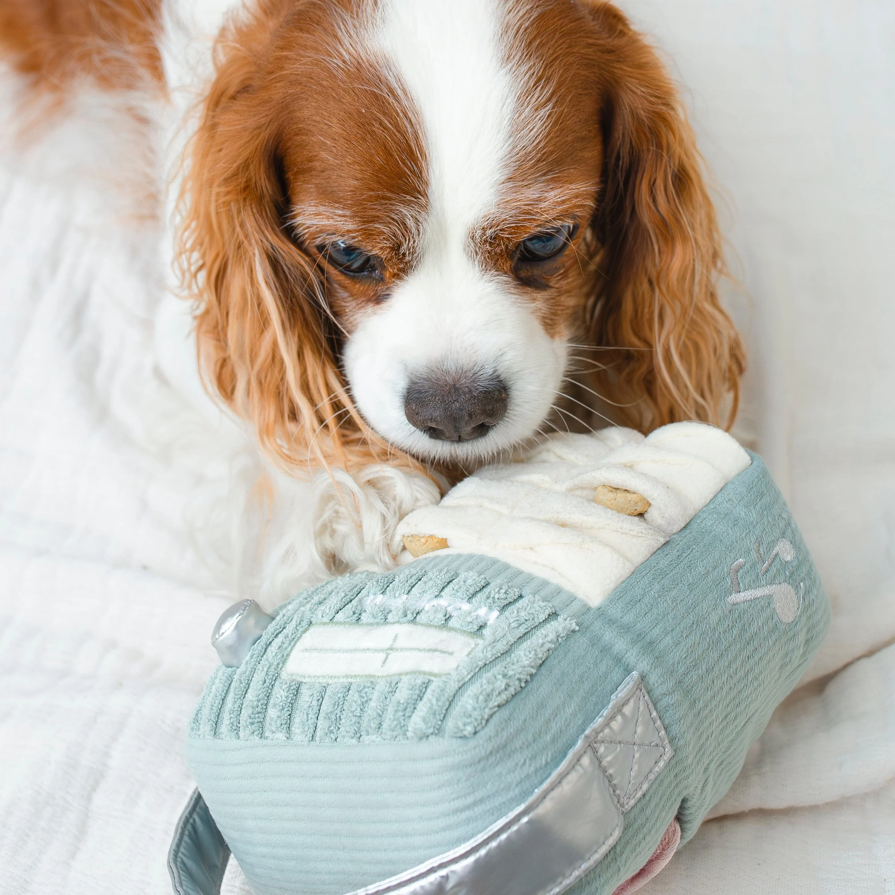 WOOF FM - Image 14