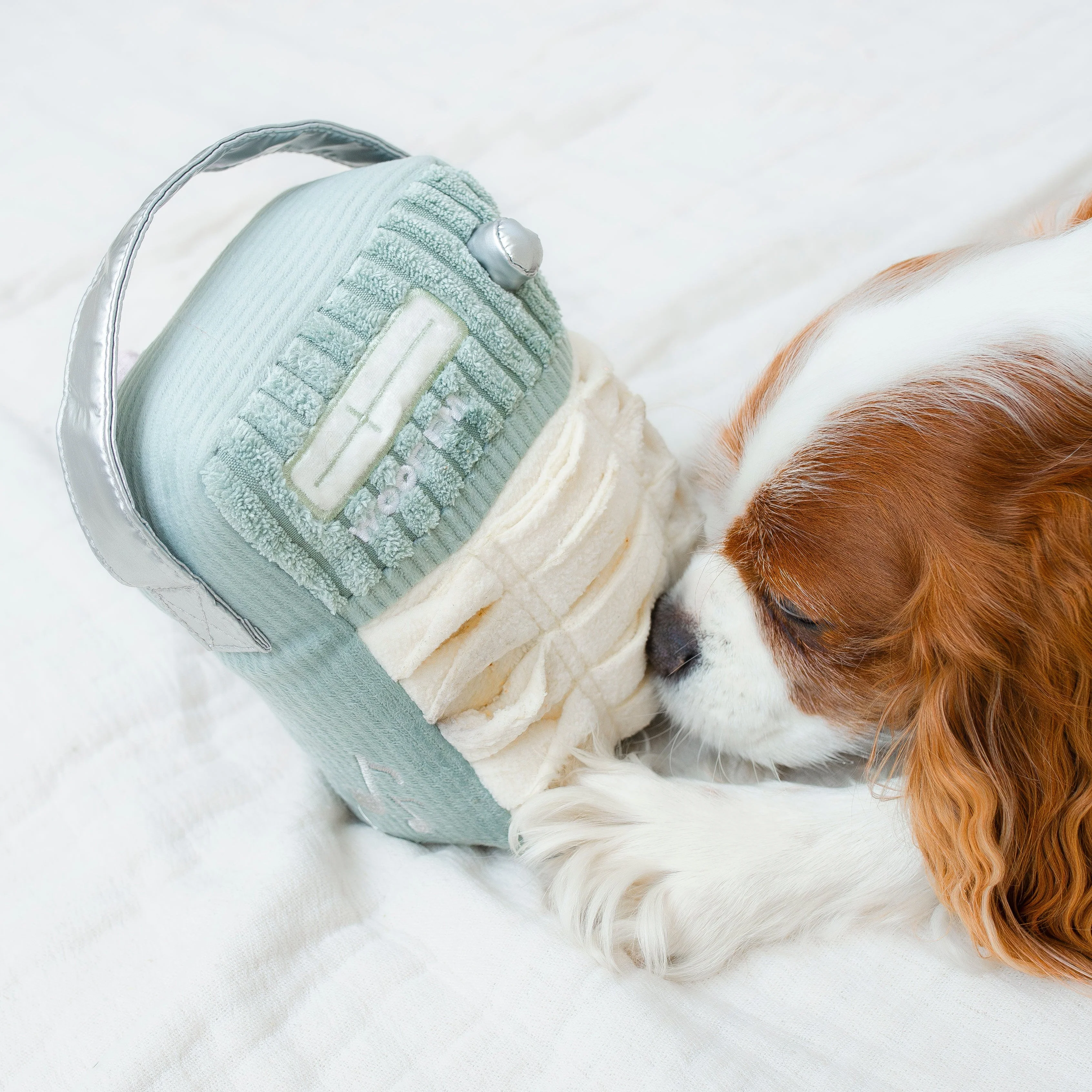 WOOF FM - Image 15