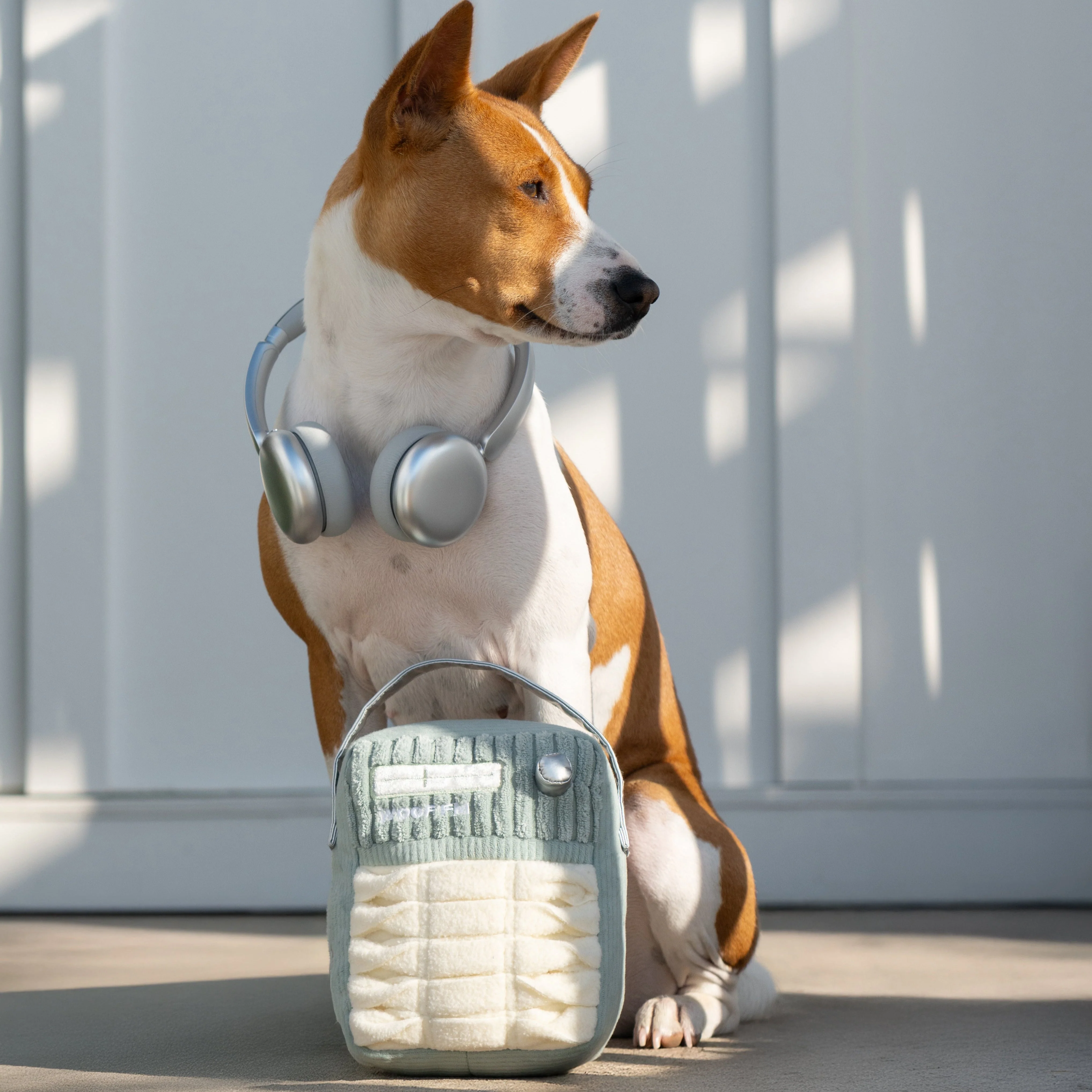 WOOF FM - Image 4