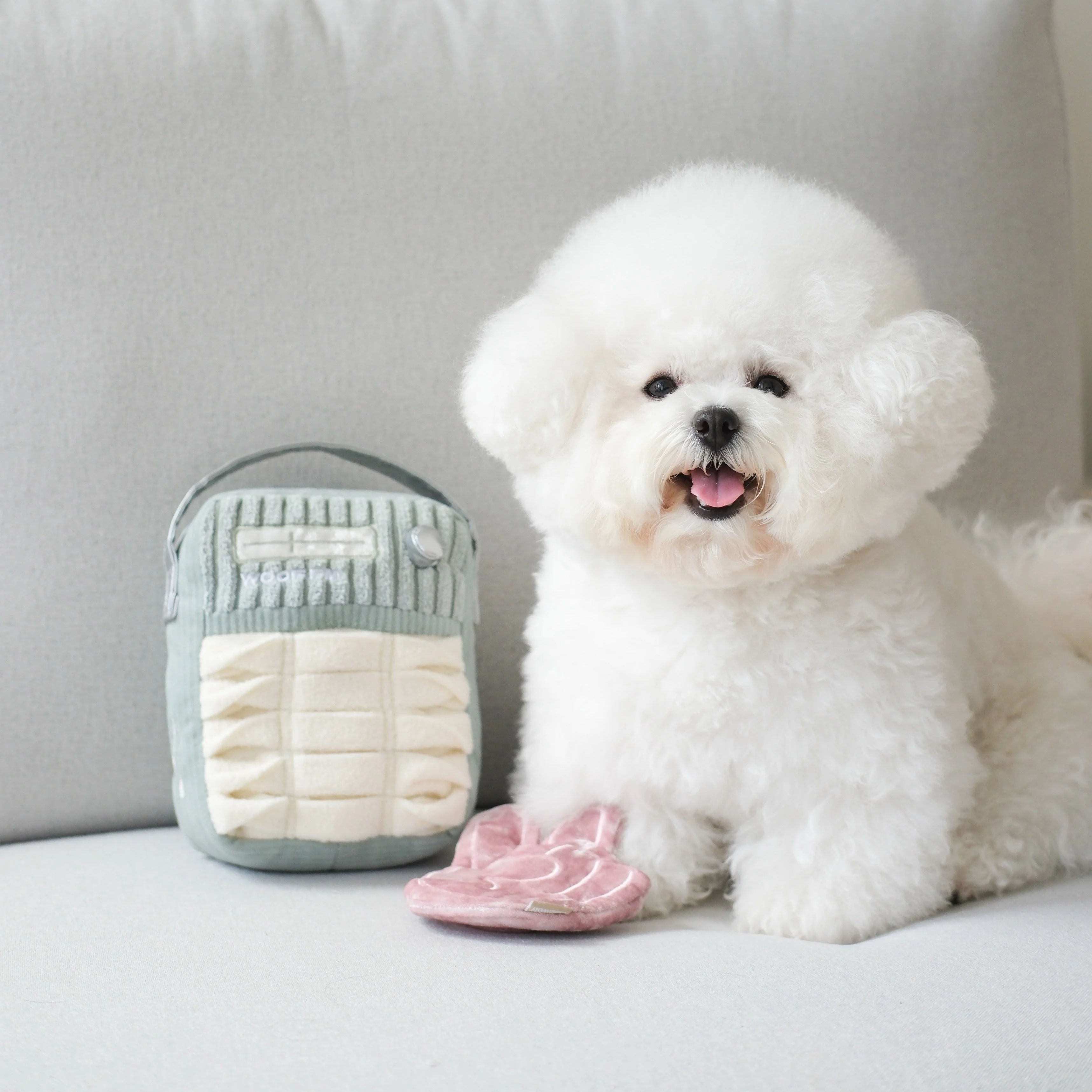 WOOF FM - Image 5