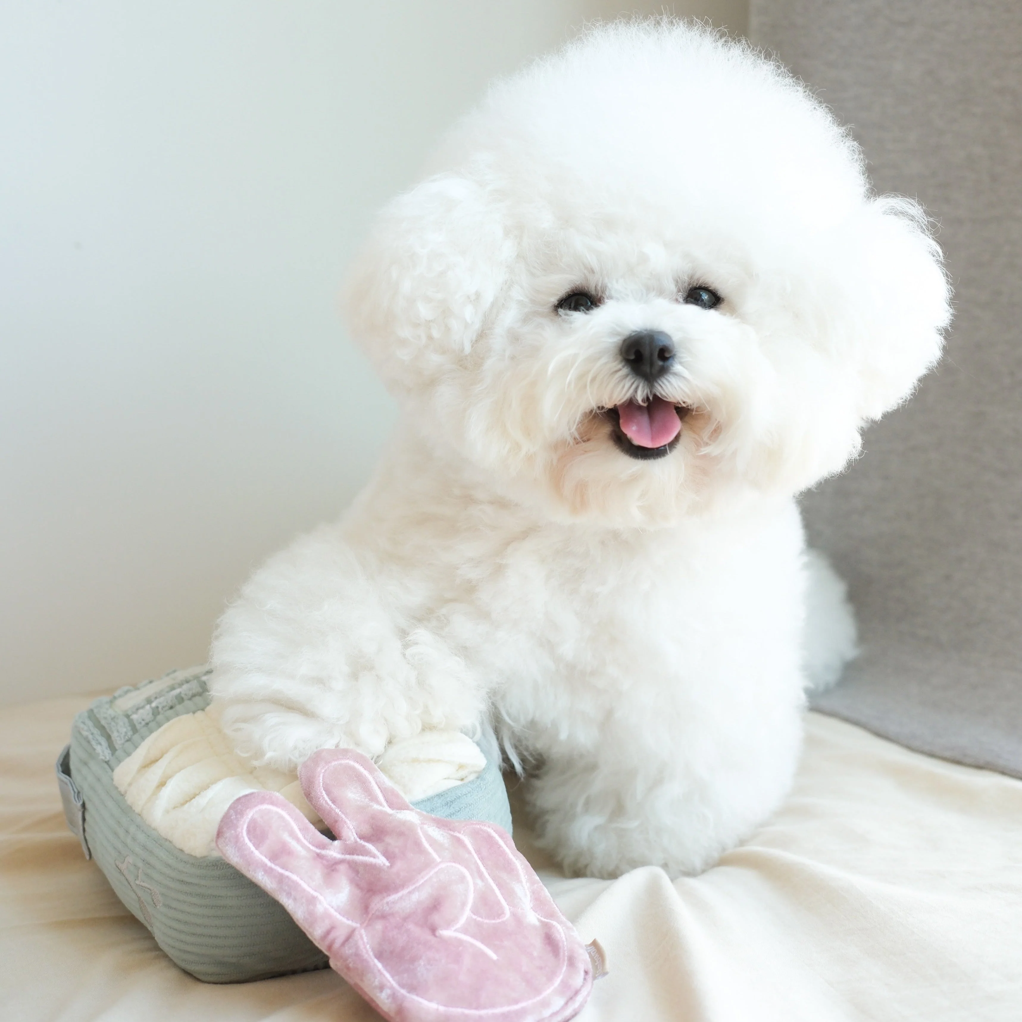 WOOF FM - Image 6