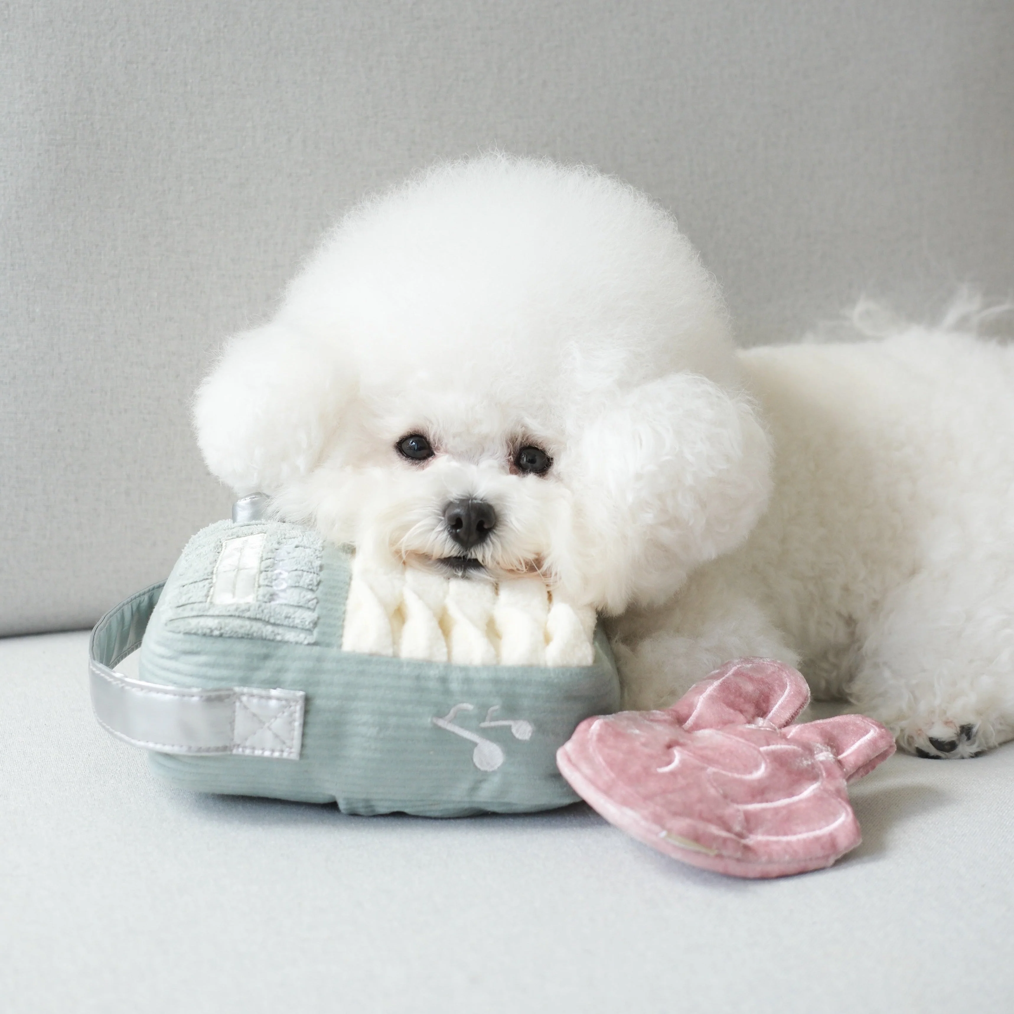 WOOF FM - Image 7