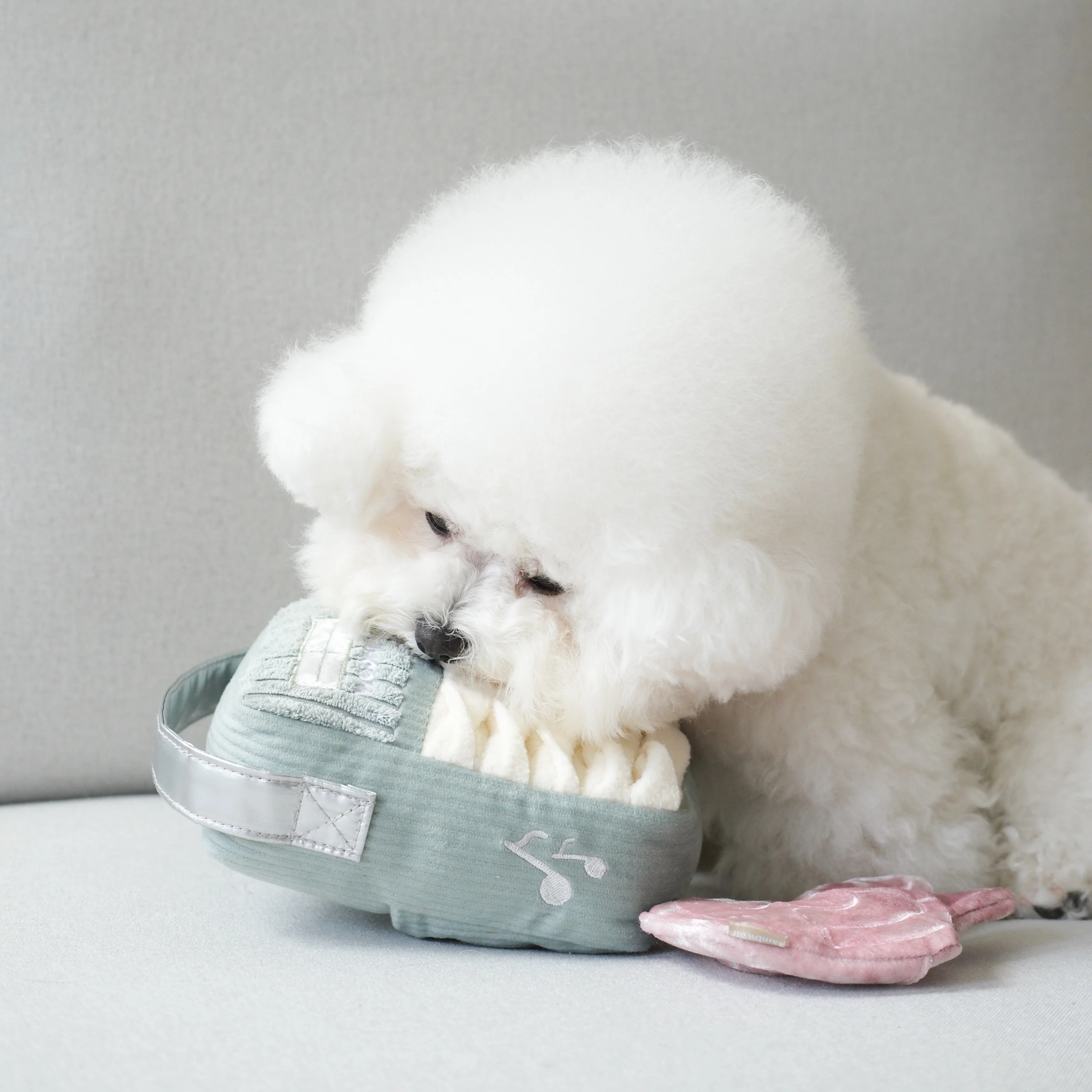 WOOF FM - Image 8