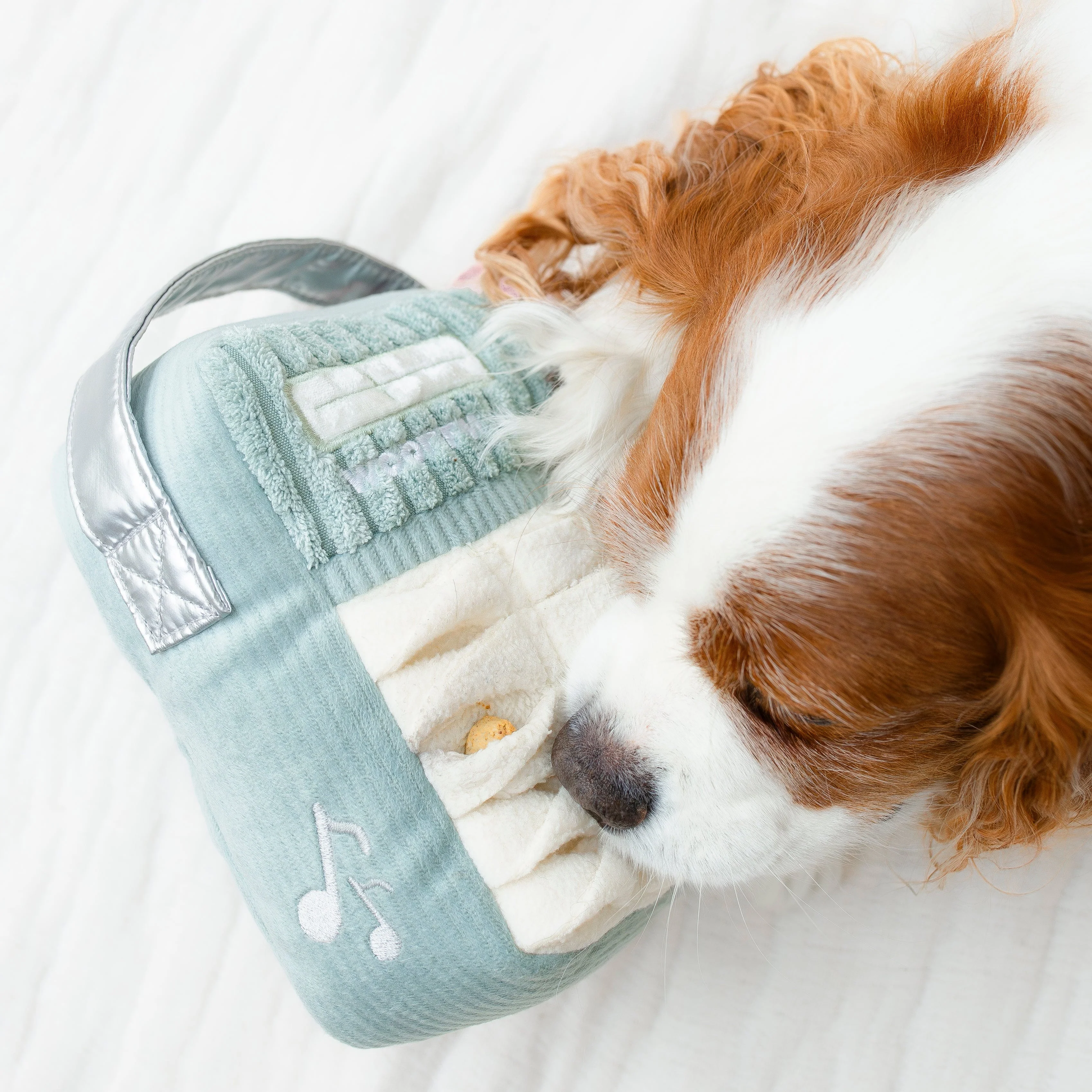 WOOF FM - Image 9